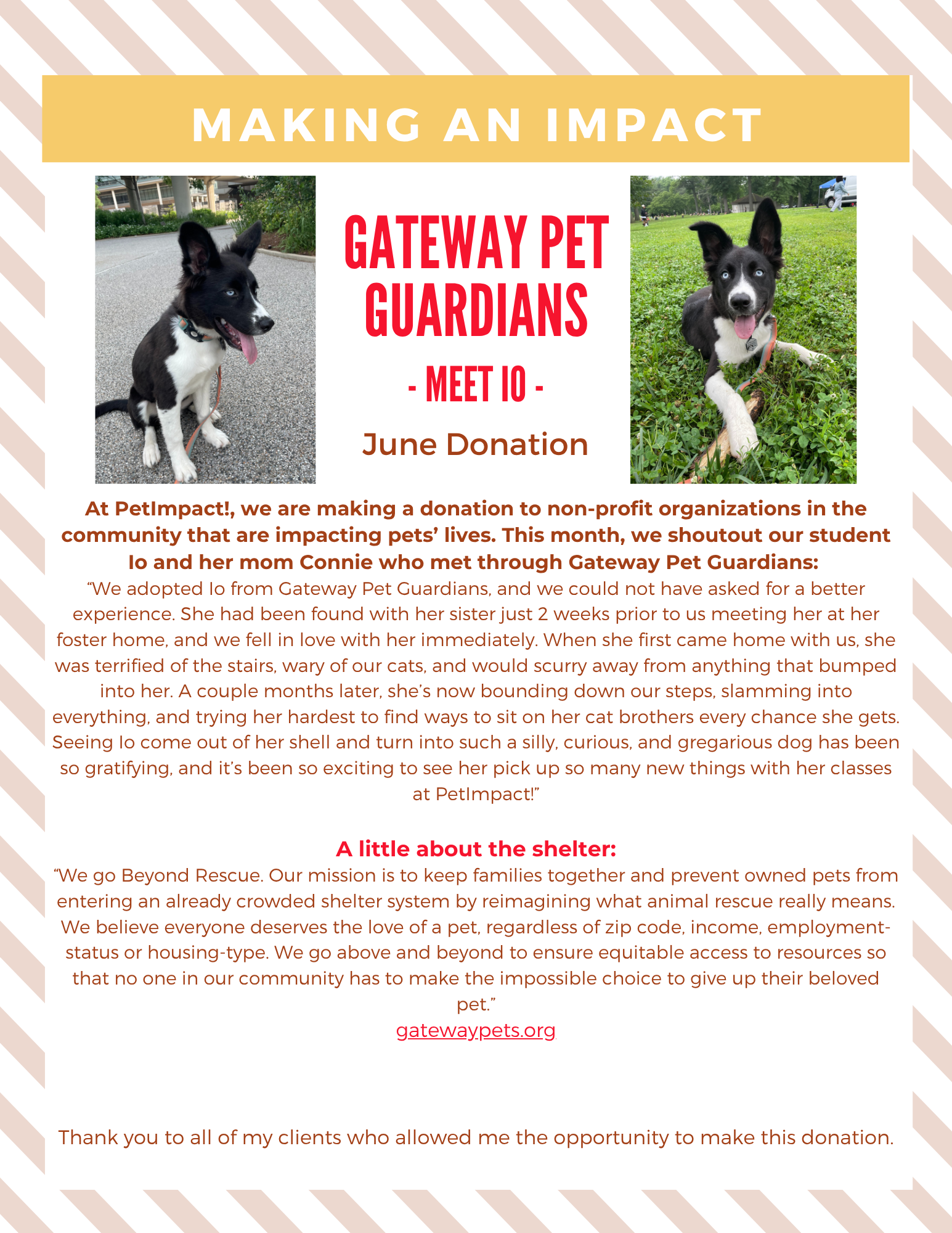 June 2025 Donations — St. Louis, MO — PetImpact! Dog Training