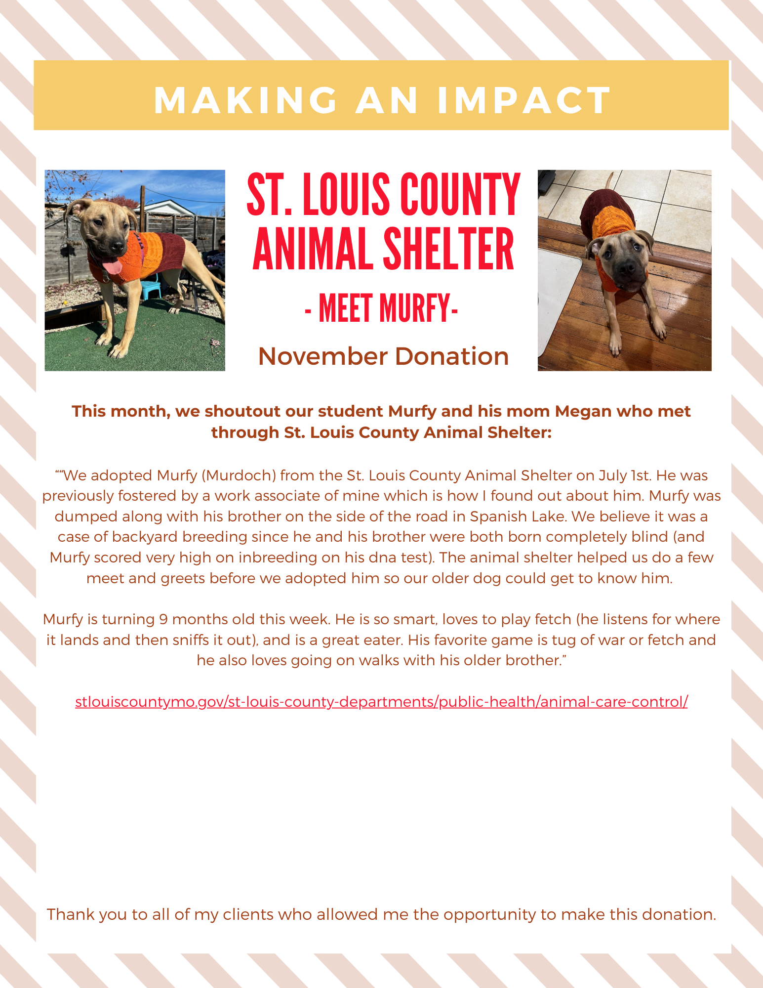 Newsletter about St. Louis County Animal Shelter featuring a dog named Nurfy and a woman named Megan.