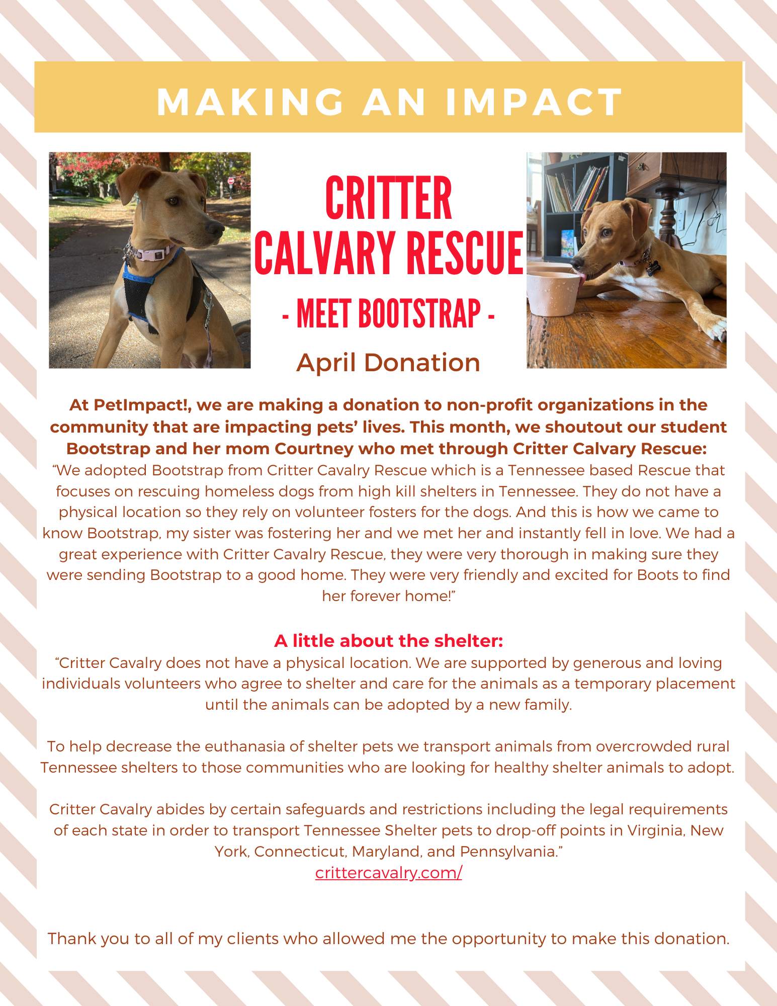 April 2025 Donations — St. Louis, MO — PetImpact! Dog Training