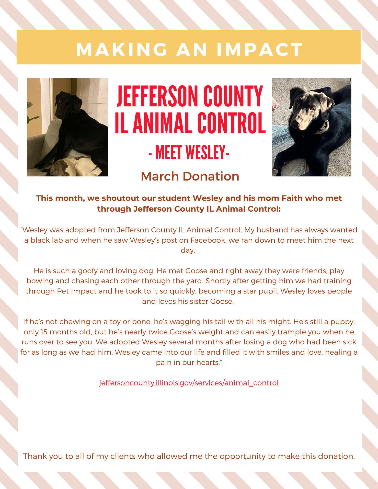 A flyer titled Making an Impact featuring a black dog, Wesley, and text about his adoption from Jefferson County Animal.