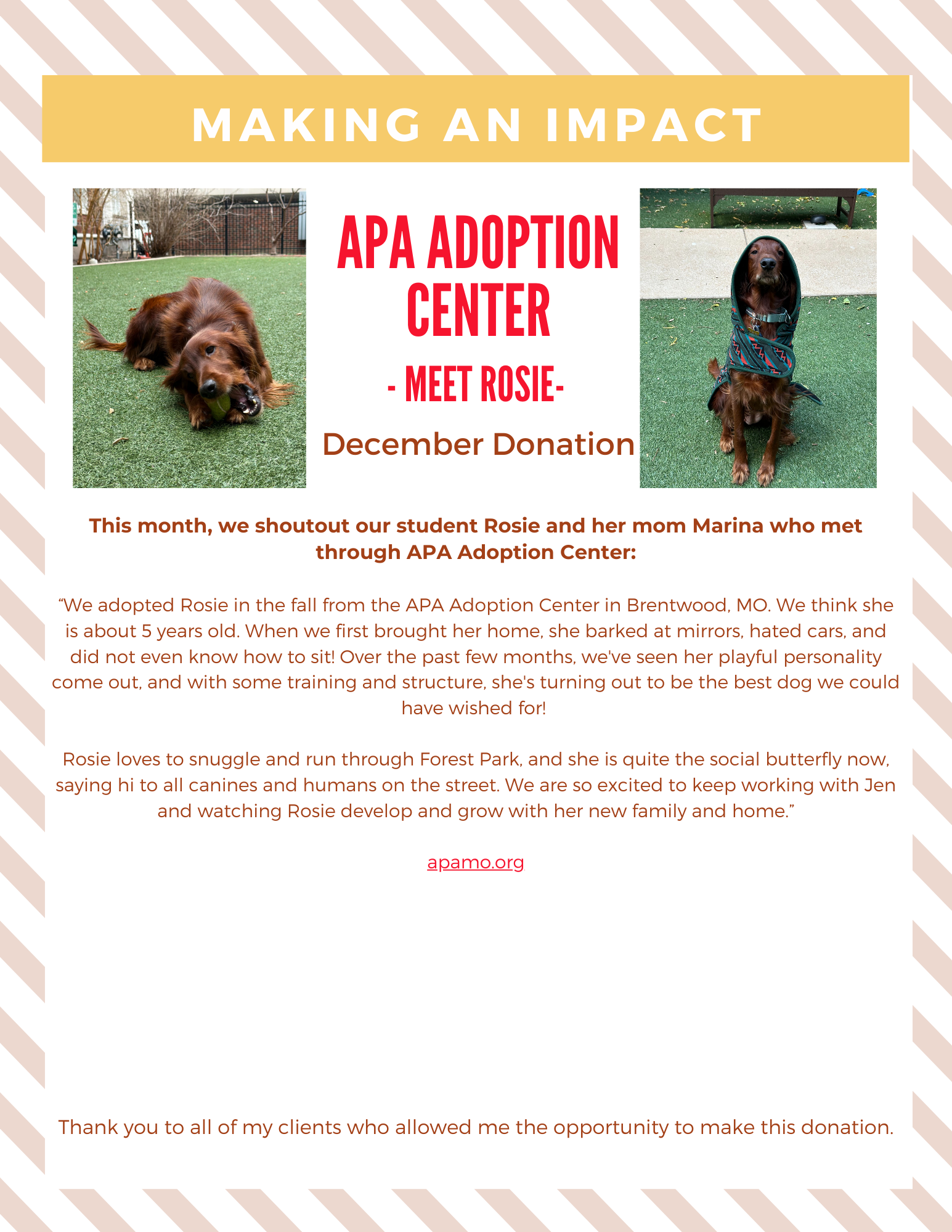 Flyer: APA Adoption Center, featuring Rosie the dog, with donation details.