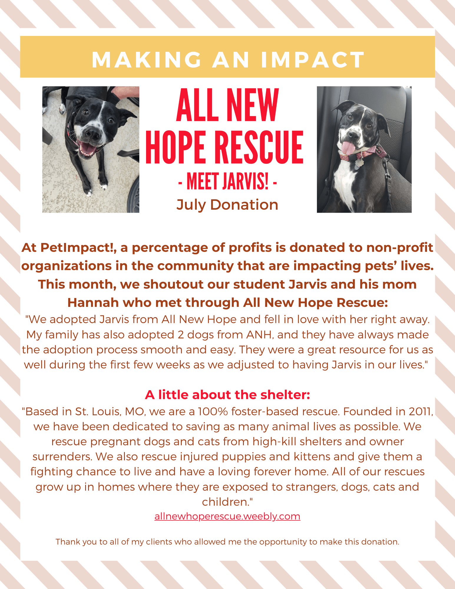 All About Paws Newspaper — St. Louis, MO — PetImpact! Dog Training