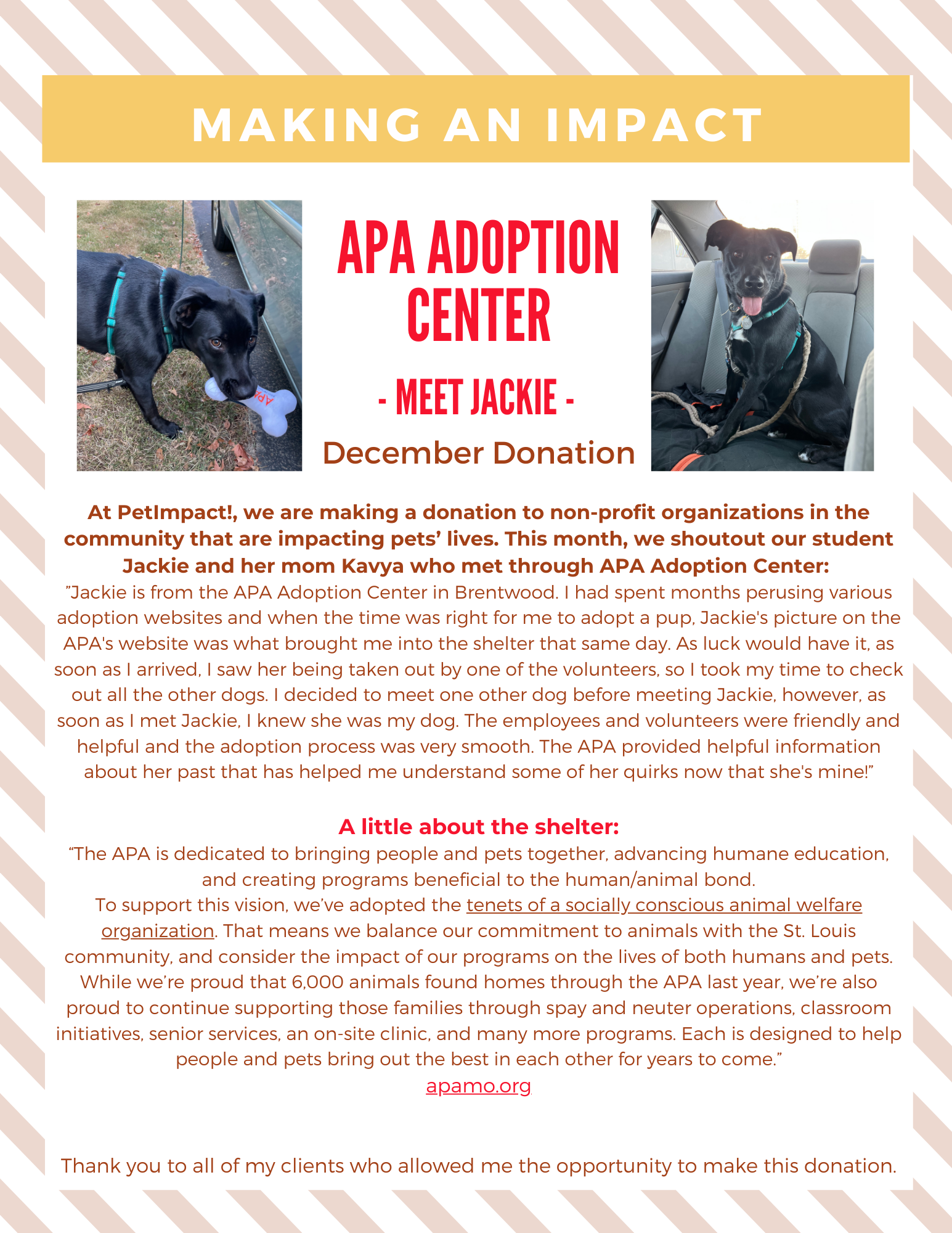 December 2024 Donations — St. Louis, MO — PetImpact! Dog Training