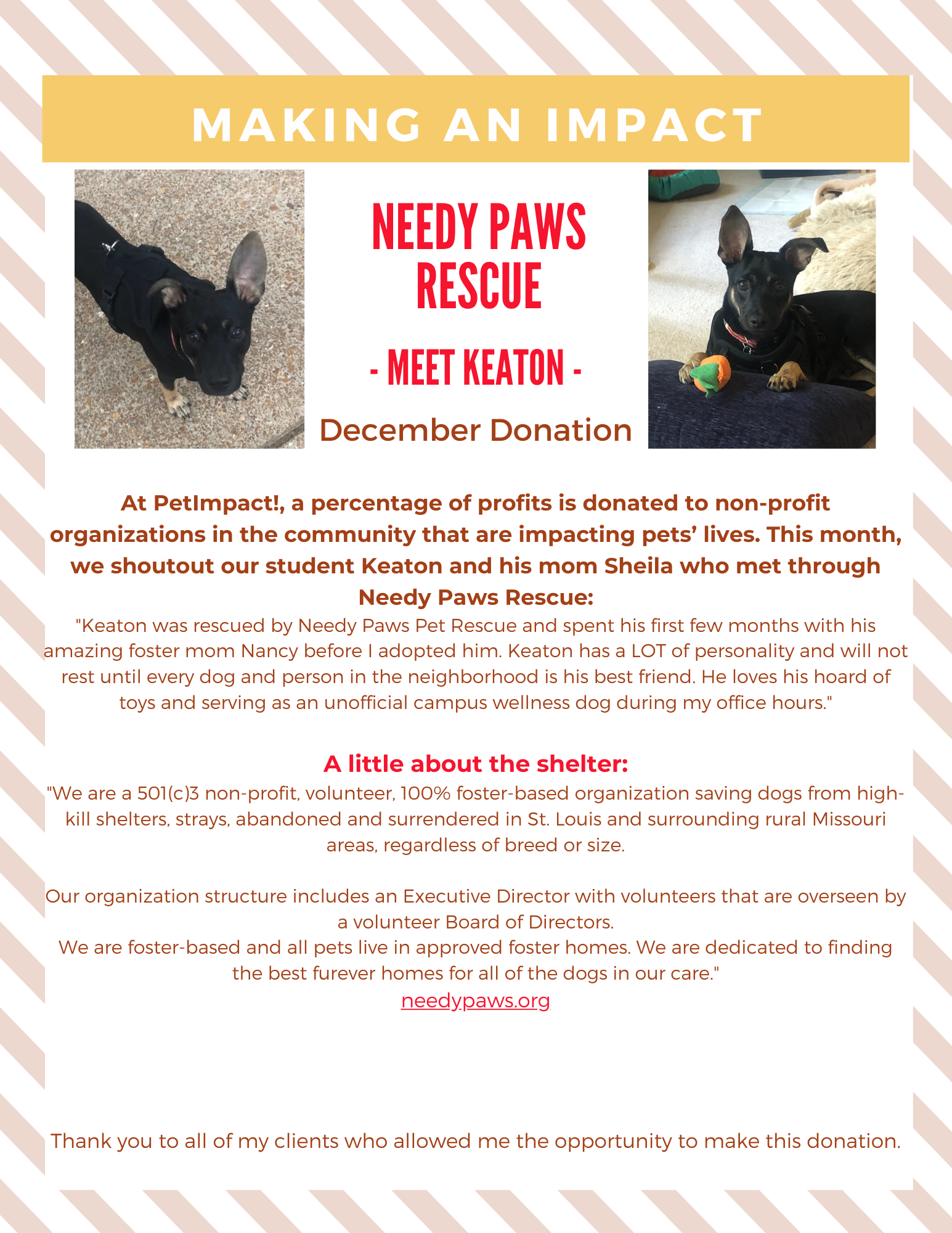 December 2023 Donations — St. Louis, MO — PetImpact! Dog Training