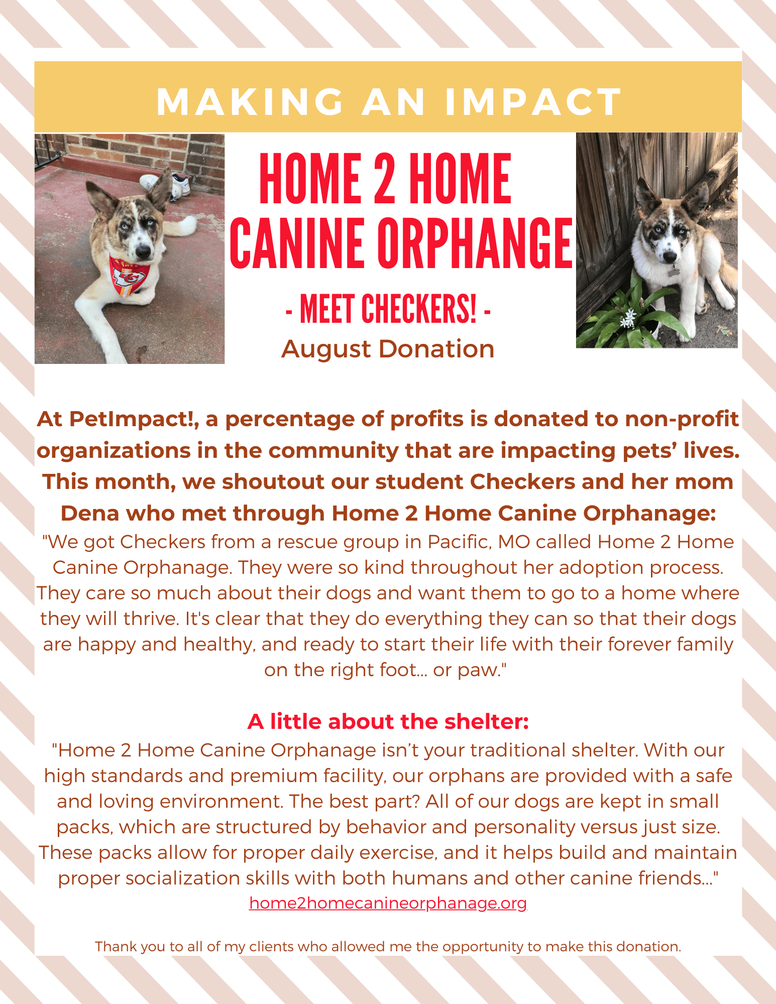 Poster for Home 2 Home Canine Orphanage, featuring a dog named Checkers, with text about donations and the organization's work.