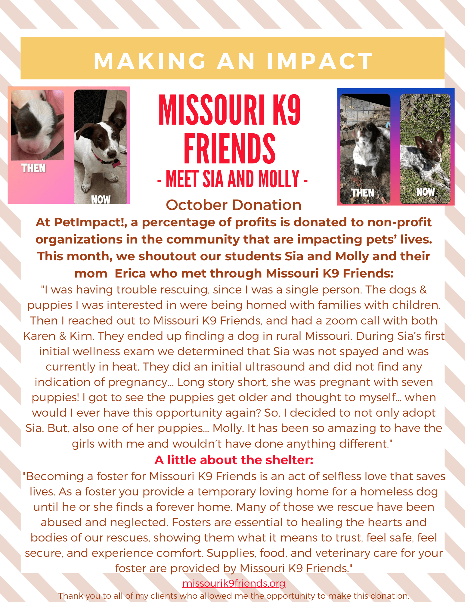 October 2022 Donations — St. Louis, MO — PetImpact! Dog Training