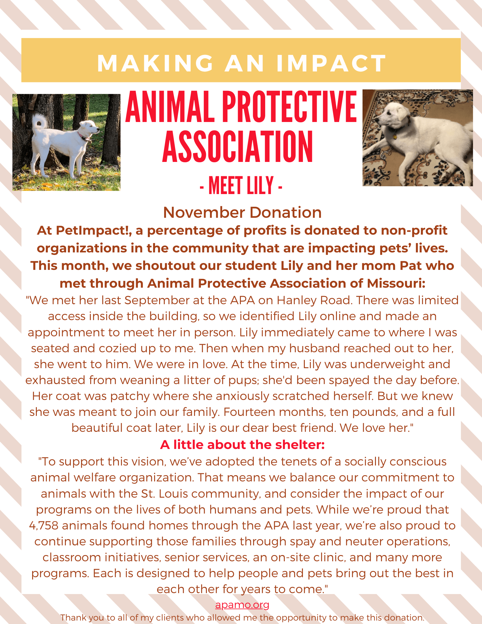 November 2022 Donations — St. Louis, MO — PetImpact! Dog Training