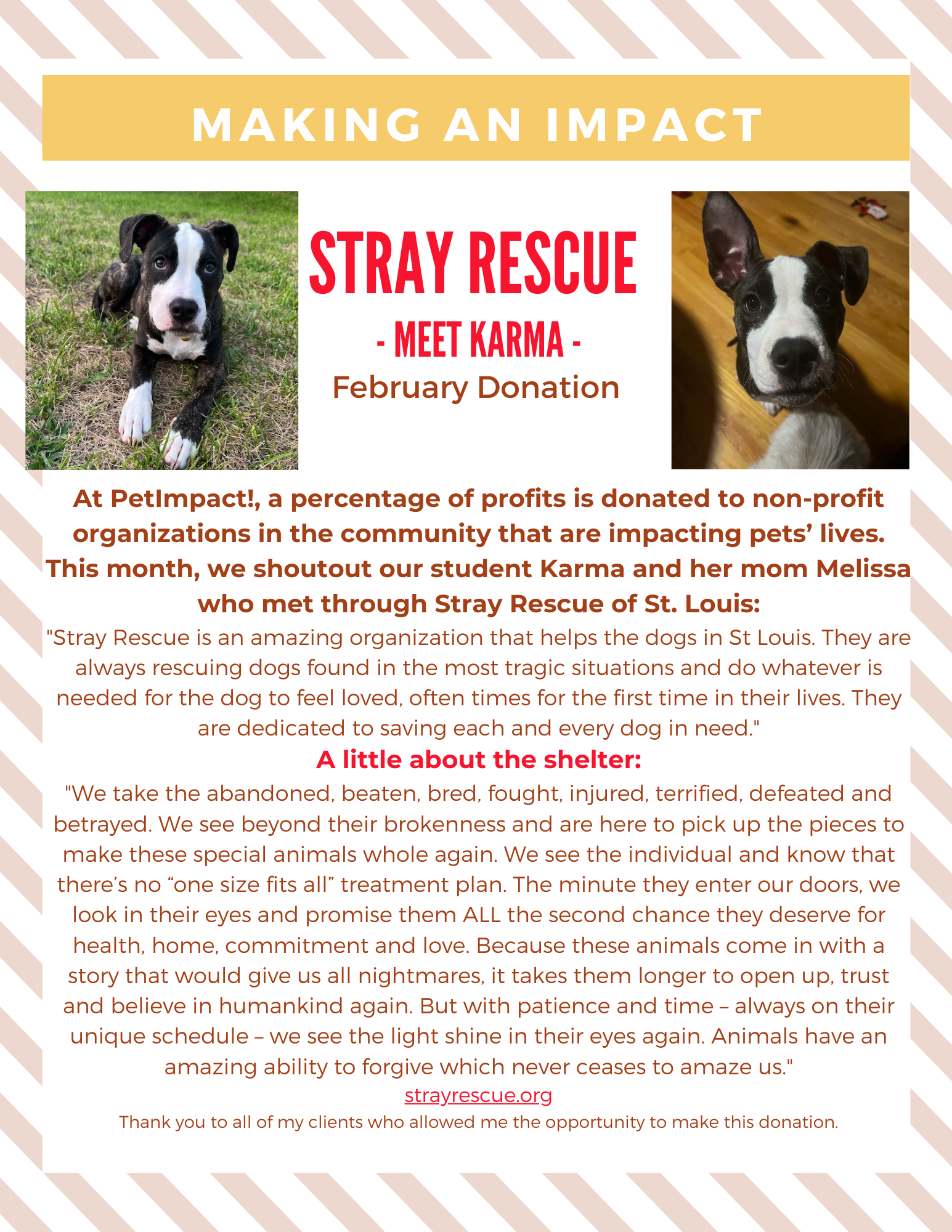 November 2022 Donations — St. Louis, MO — PetImpact! Dog Training