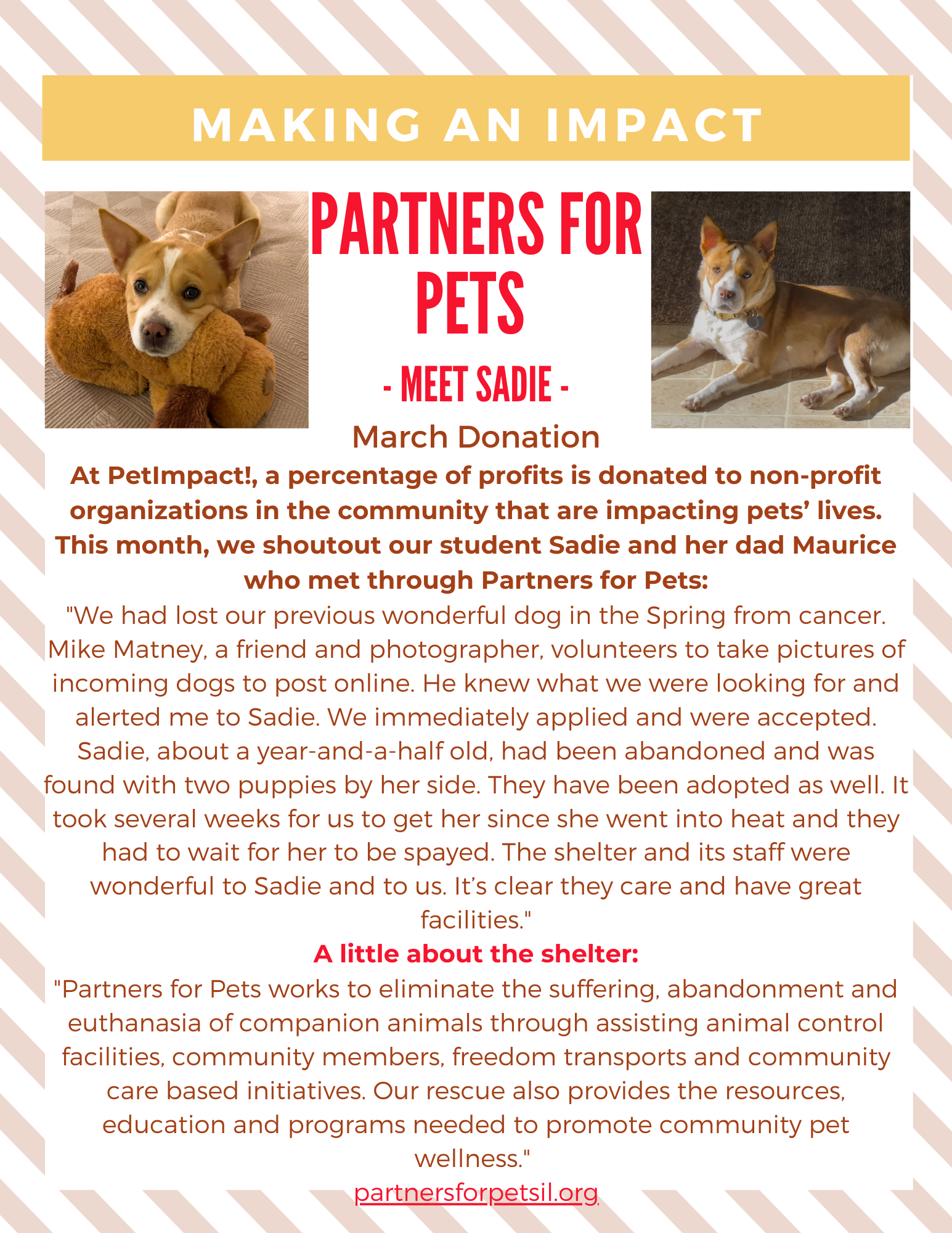 March 2023 Donations — St. Louis, MO — PetImpact! Dog Training