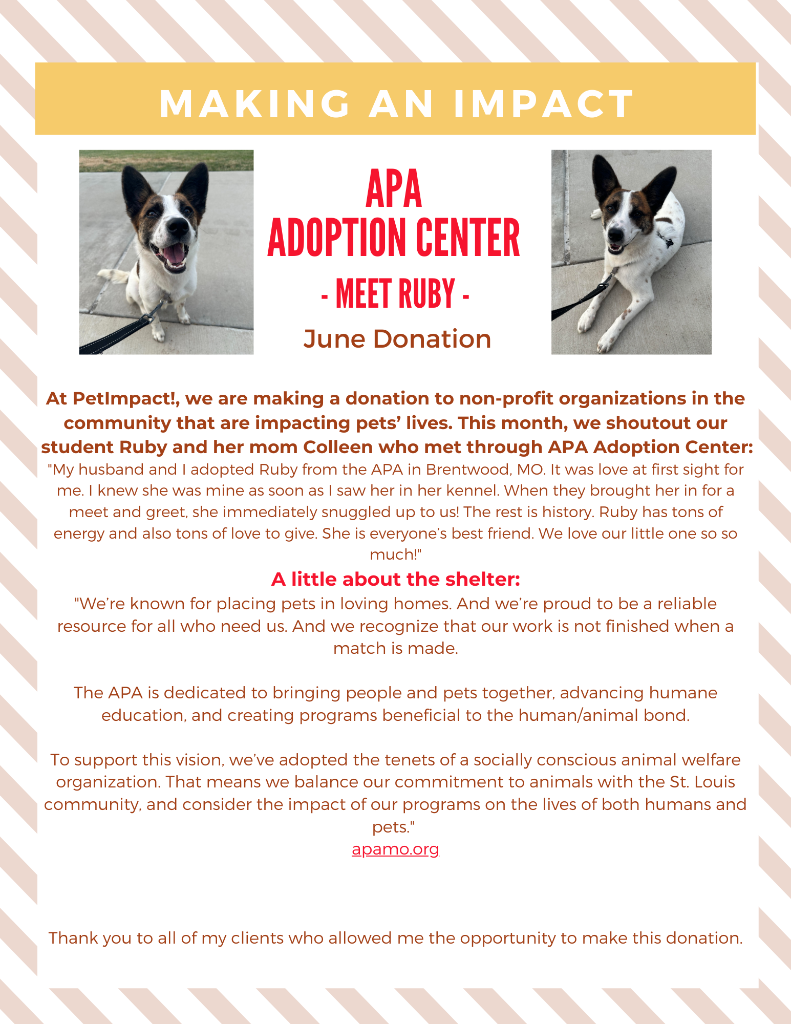 June 2024 Donations — St. Louis, MO — PetImpact! Dog Training