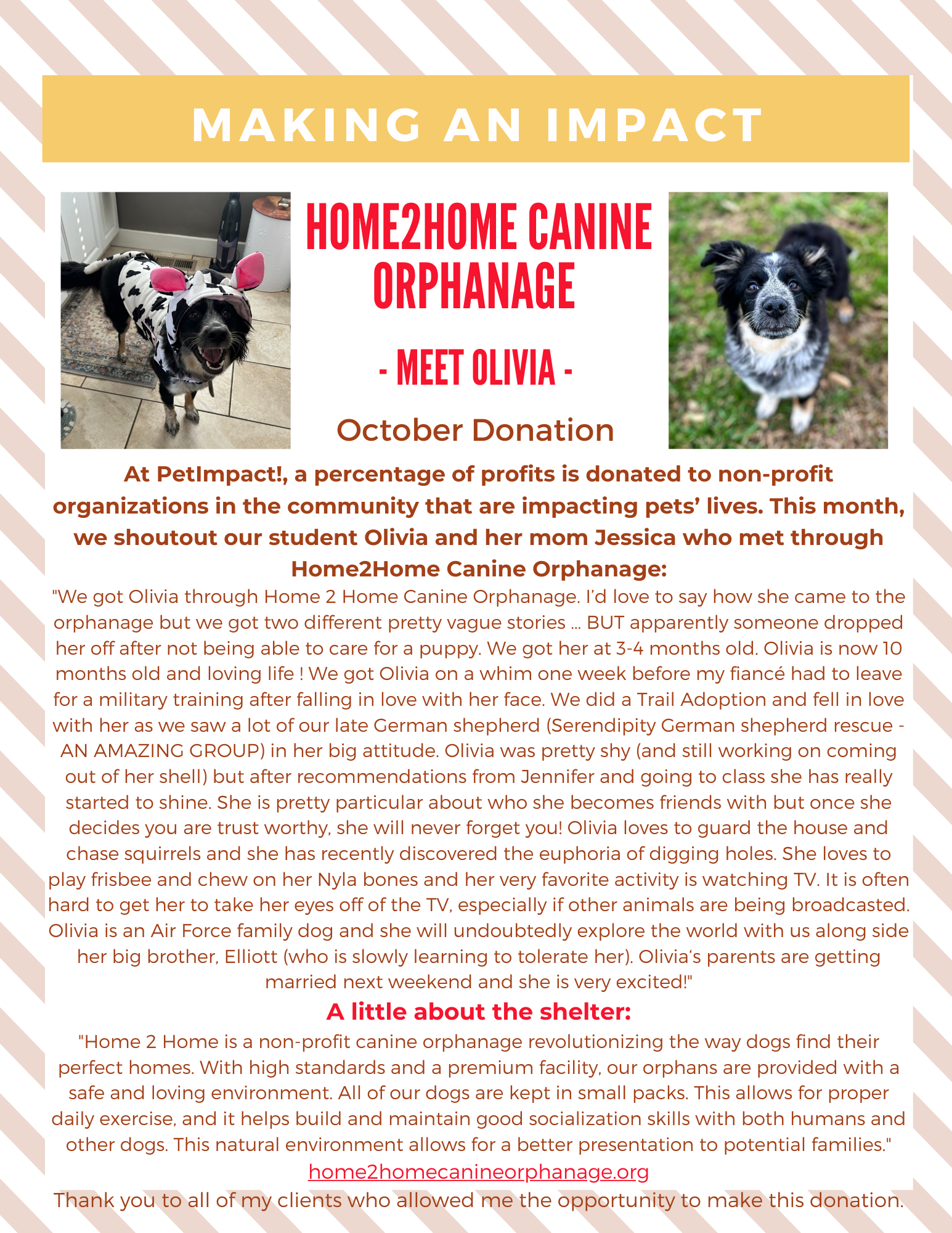 October 2023 Donations — St. Louis, MO — PetImpact! Dog Training