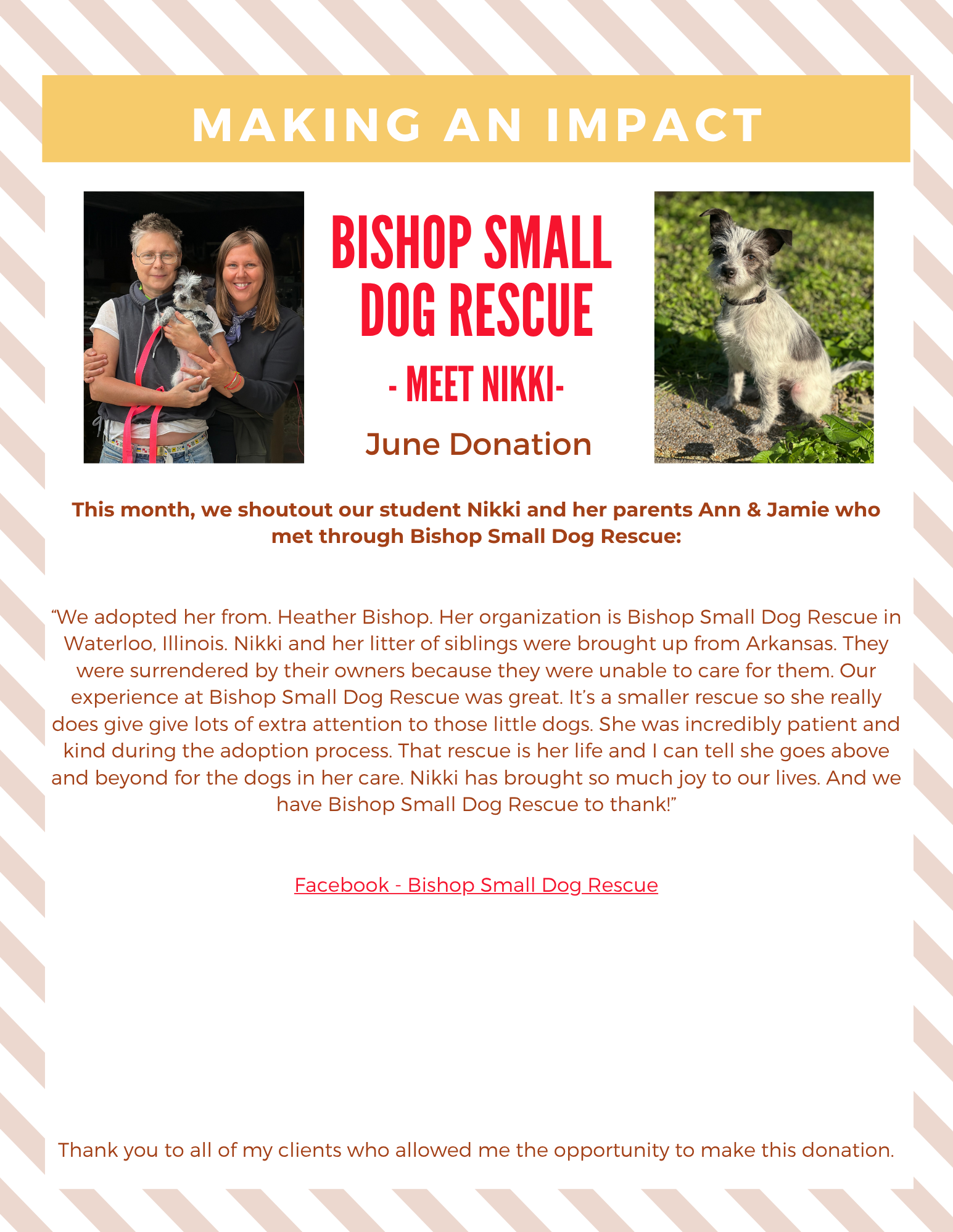 Bishop Small Dog Rescue poster with two photos and headline “Meet Nikki” on a pink striped background