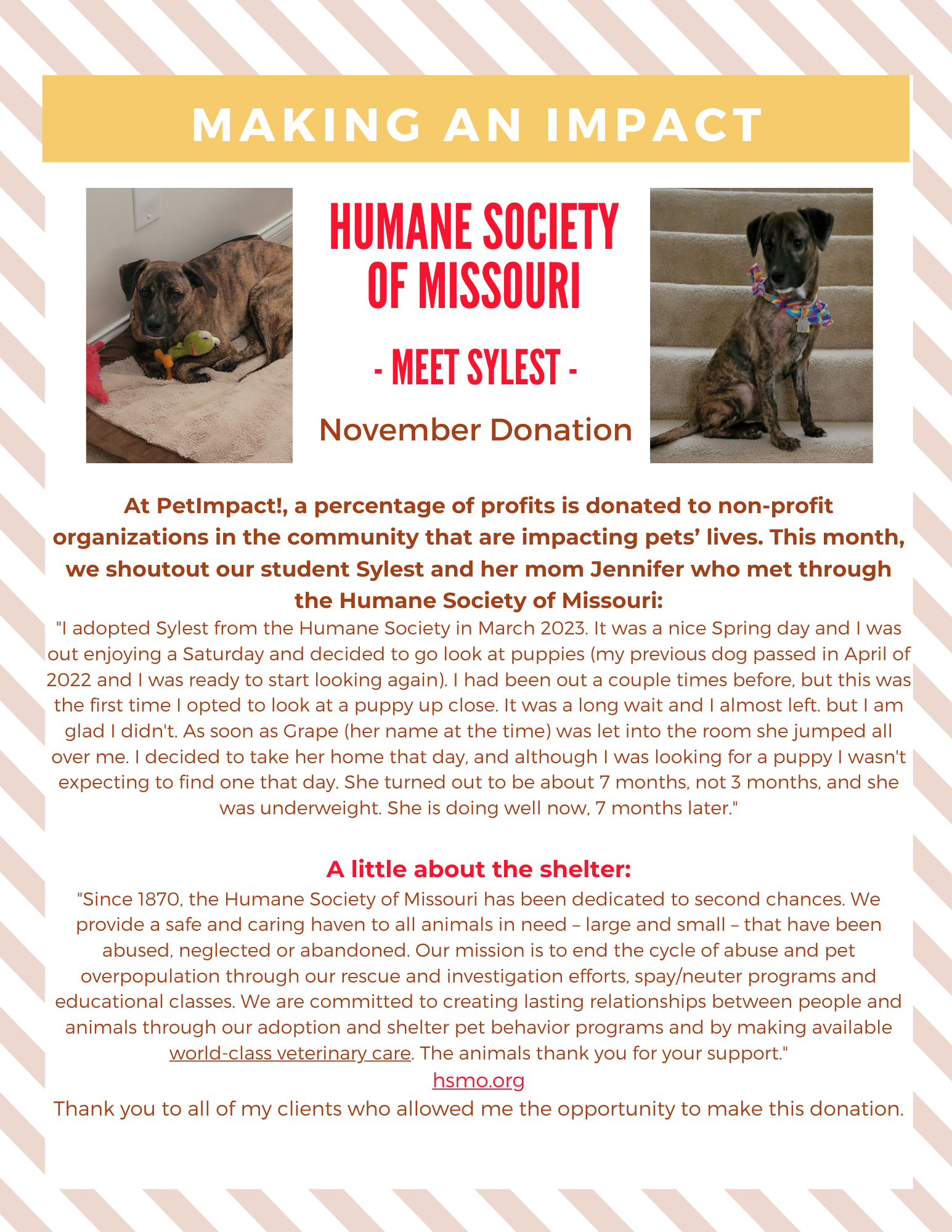 November 2023 Donations — St. Louis, MO — PetImpact! Dog Training