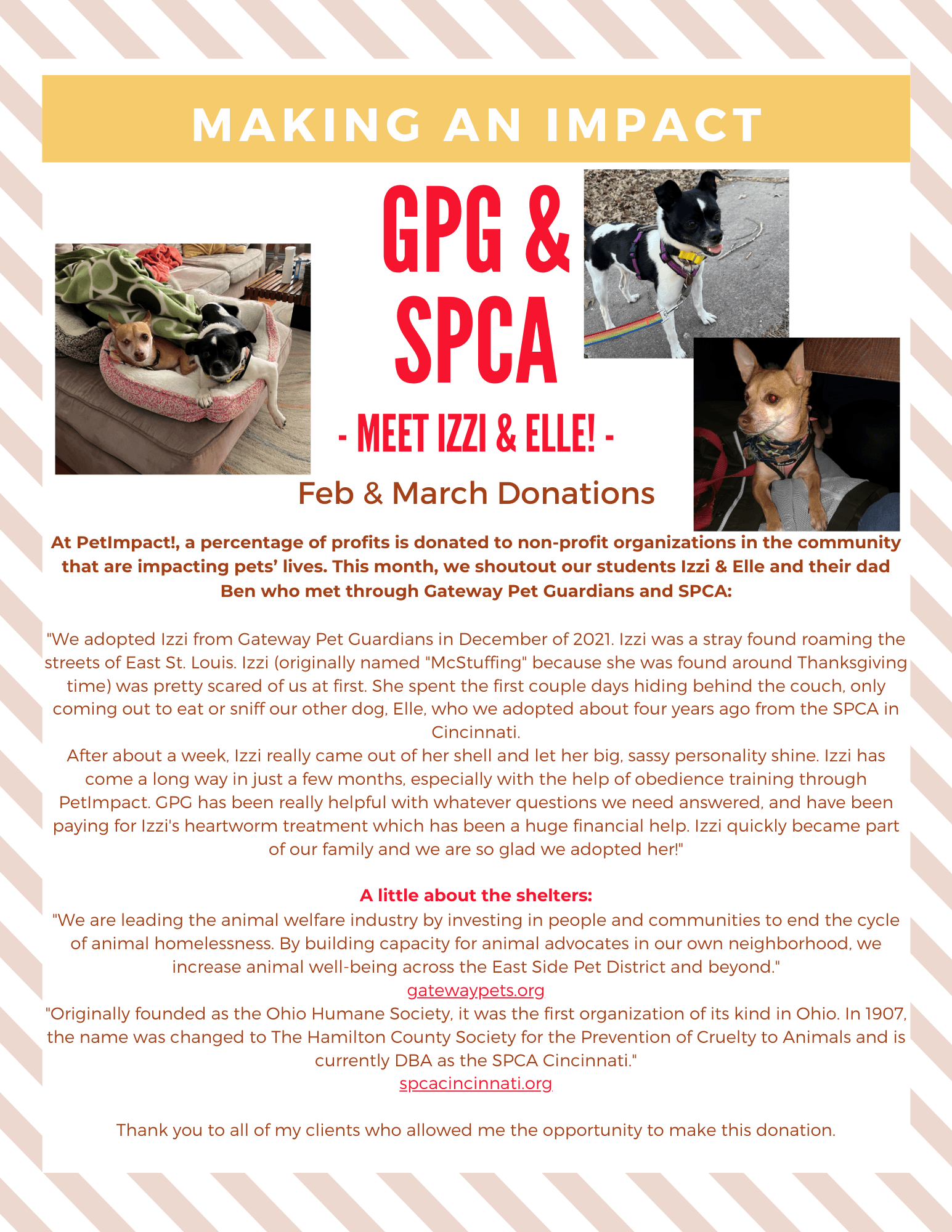 GPG & SPCA fundraising announcement featuring dogs Izzi & Elle. Donation details in a vertical layout.