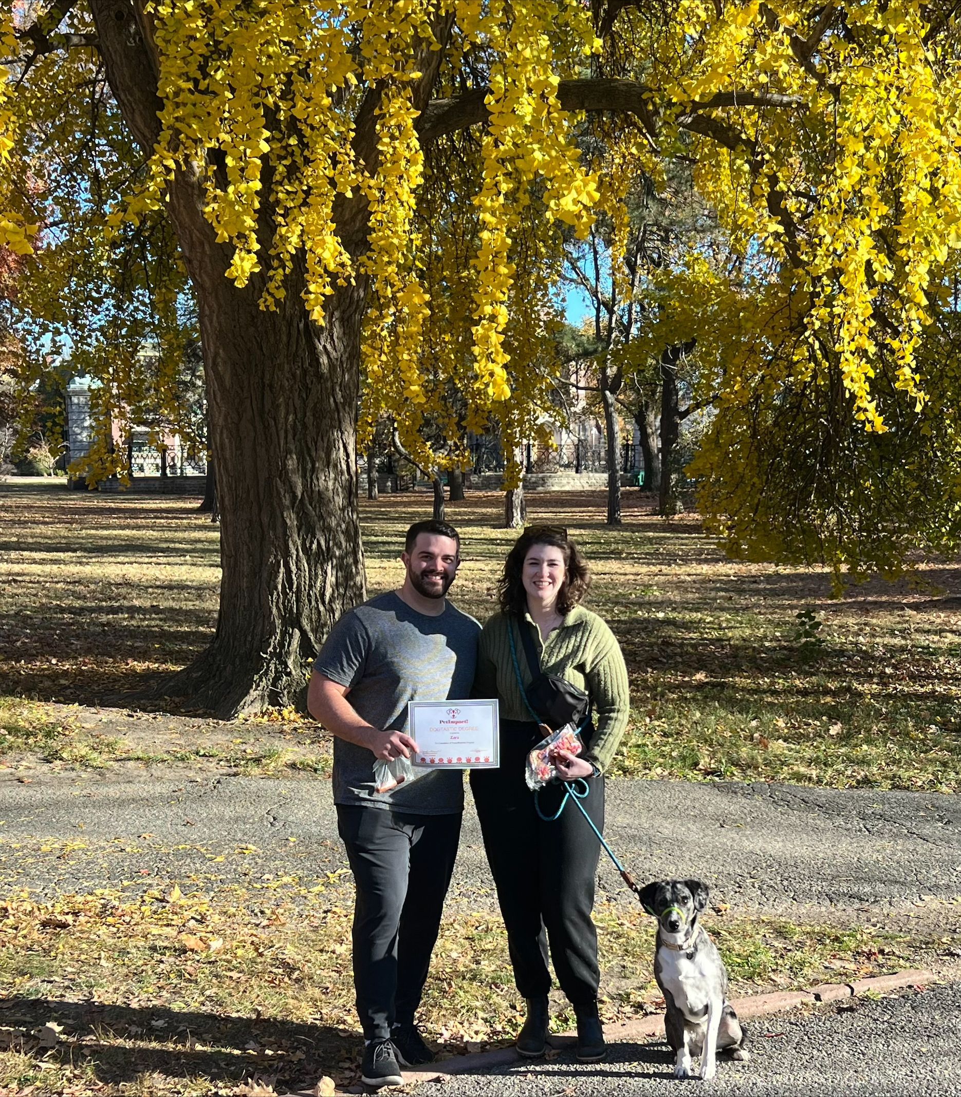 Couple with their black and white dog — St. Louis, MO — PetImpact!