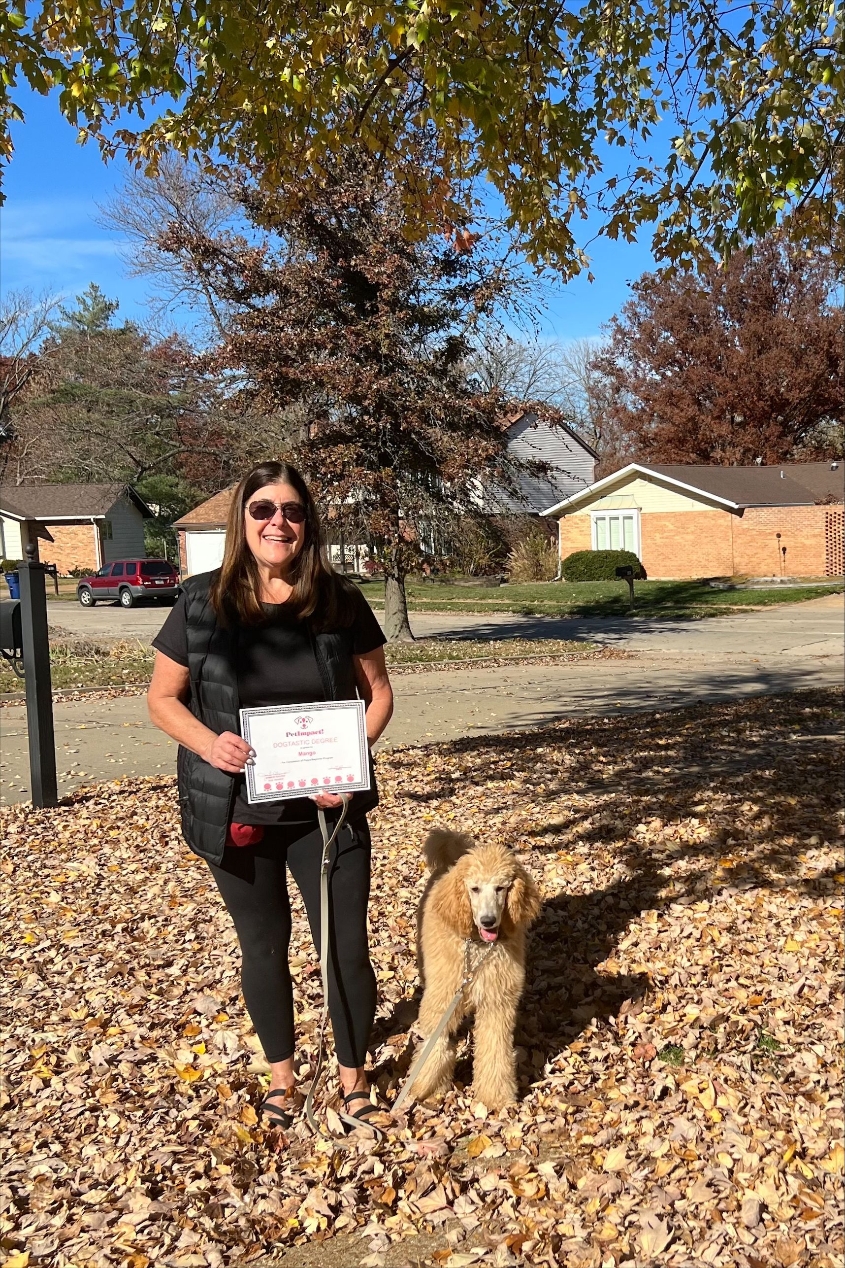 A girl in sunglasses with her dog — St. Louis, MO — PetImpact!