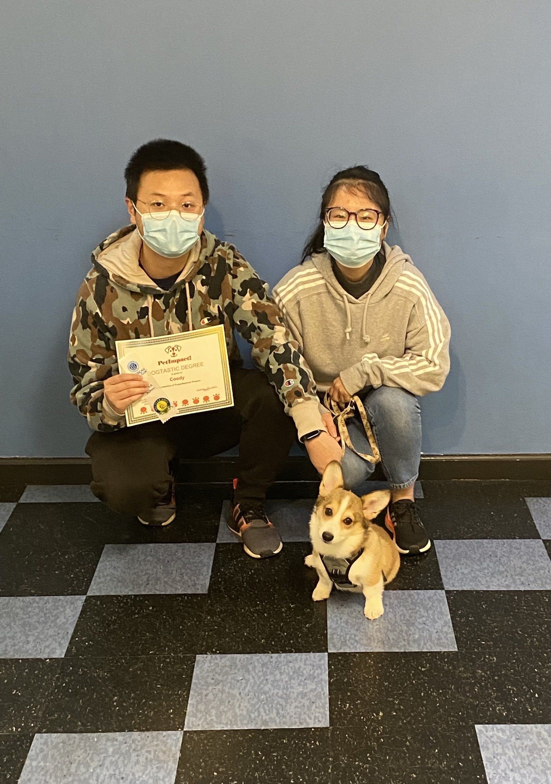 Two people, wearing masks, crouch with a corgi. Man holds award. Checkered floor, blue wall.