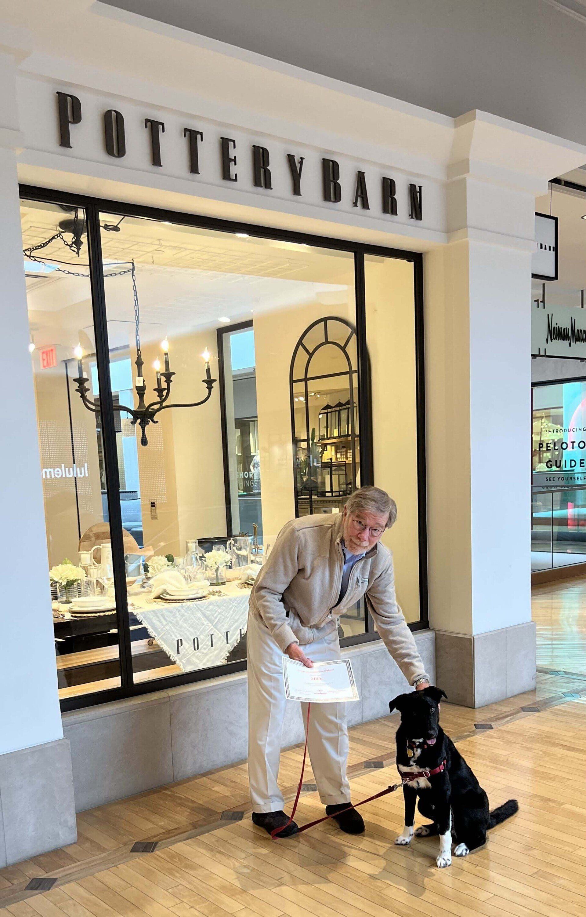 Person petting a black and white dog in front of a Pottery Barn store. They are both inside a mall.