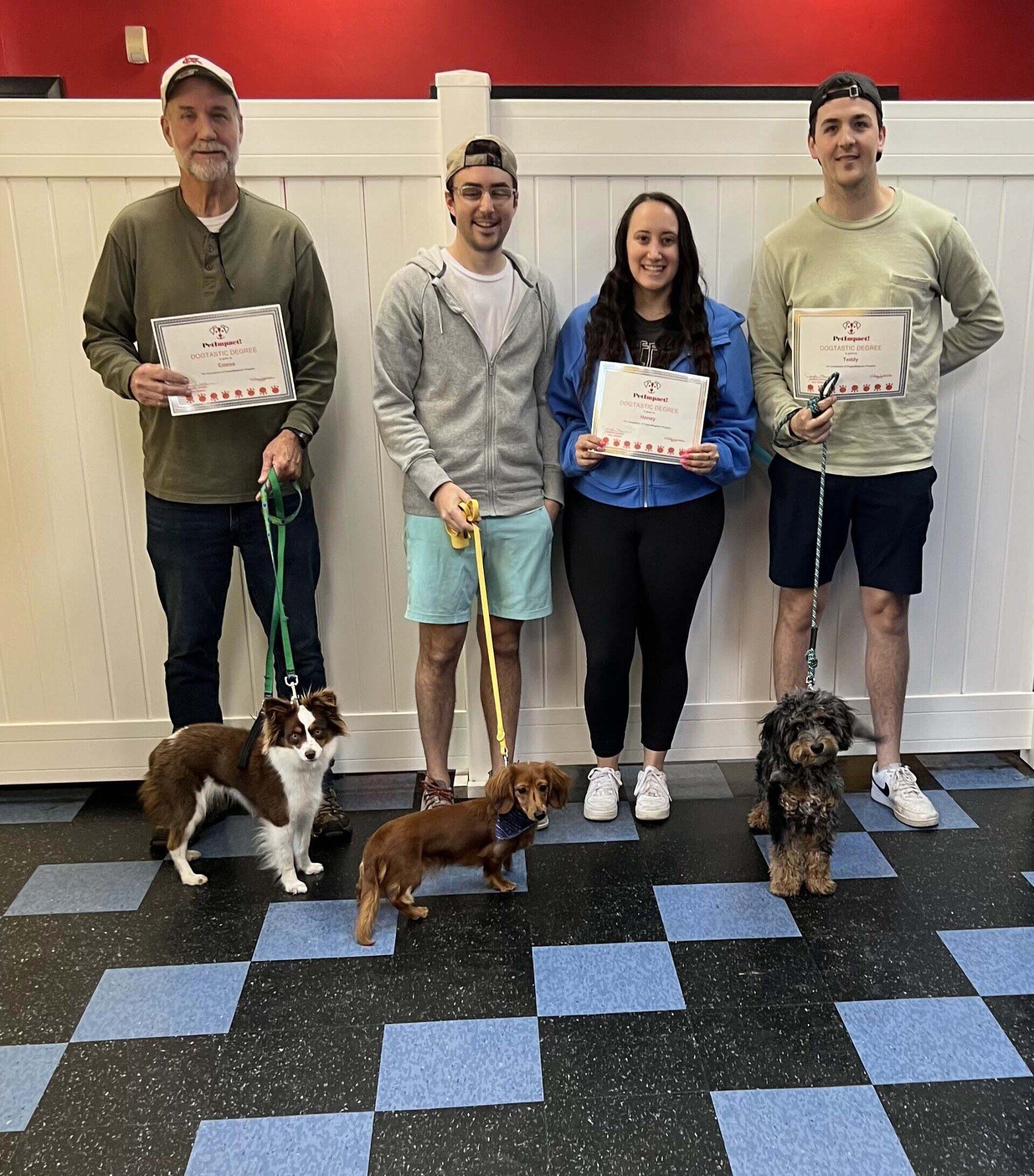Four people with dogs hold certificates, standing in front of a white wall. The floor has a blue and black checker pattern.