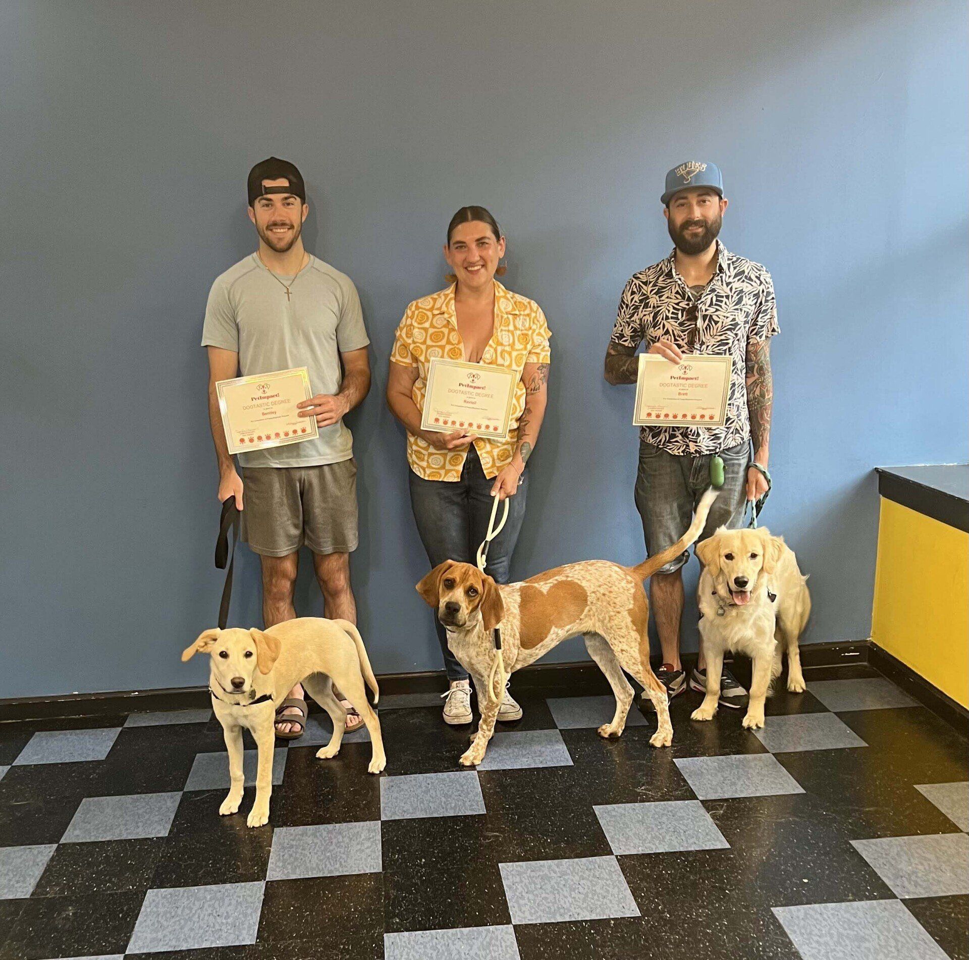Three people with dogs holding certificates, standing in a room with blue walls, smiling.