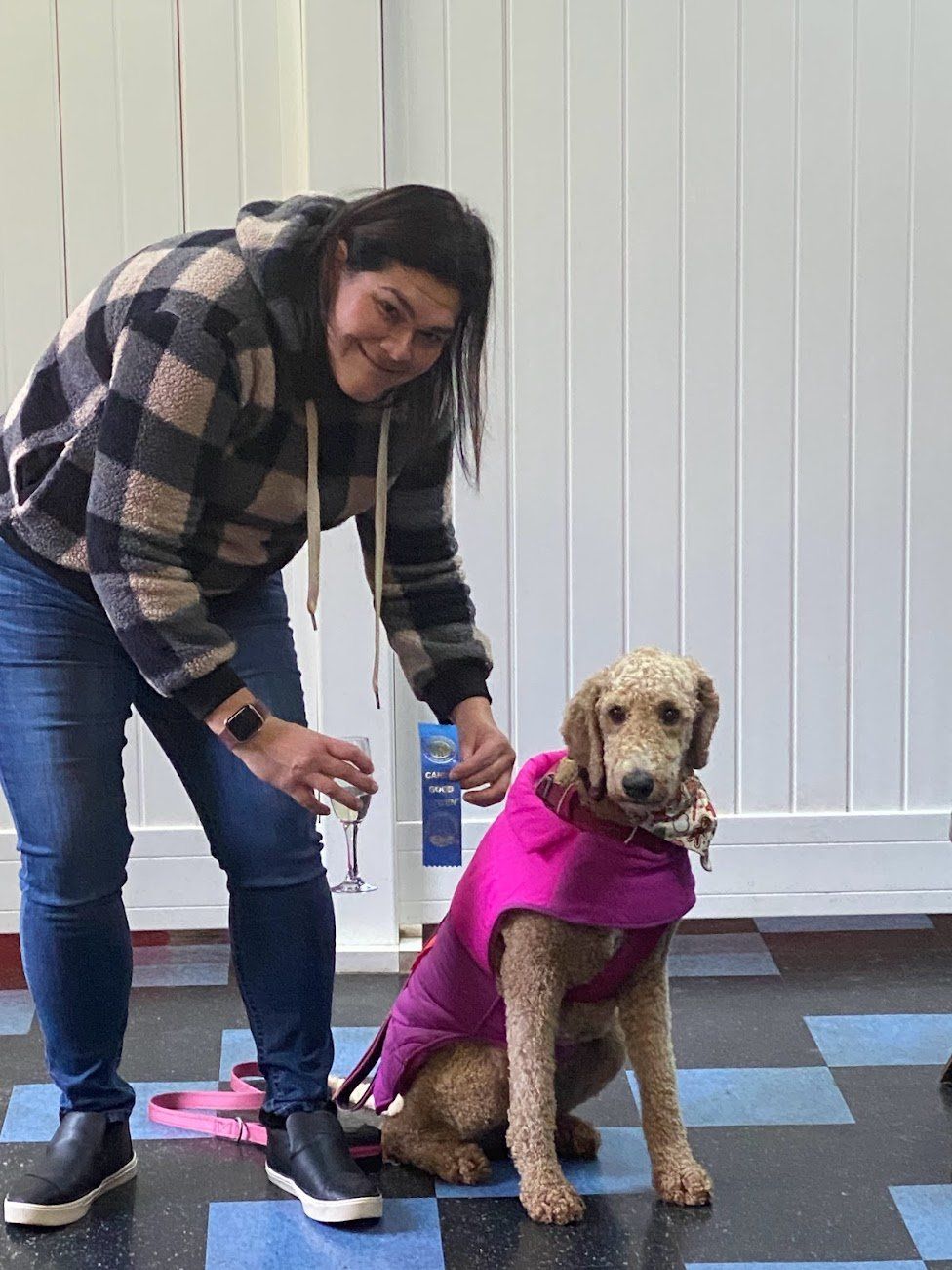 Woman in plaid hoodie adjusts dog's pink coat, dog sits indoors, blue floor.