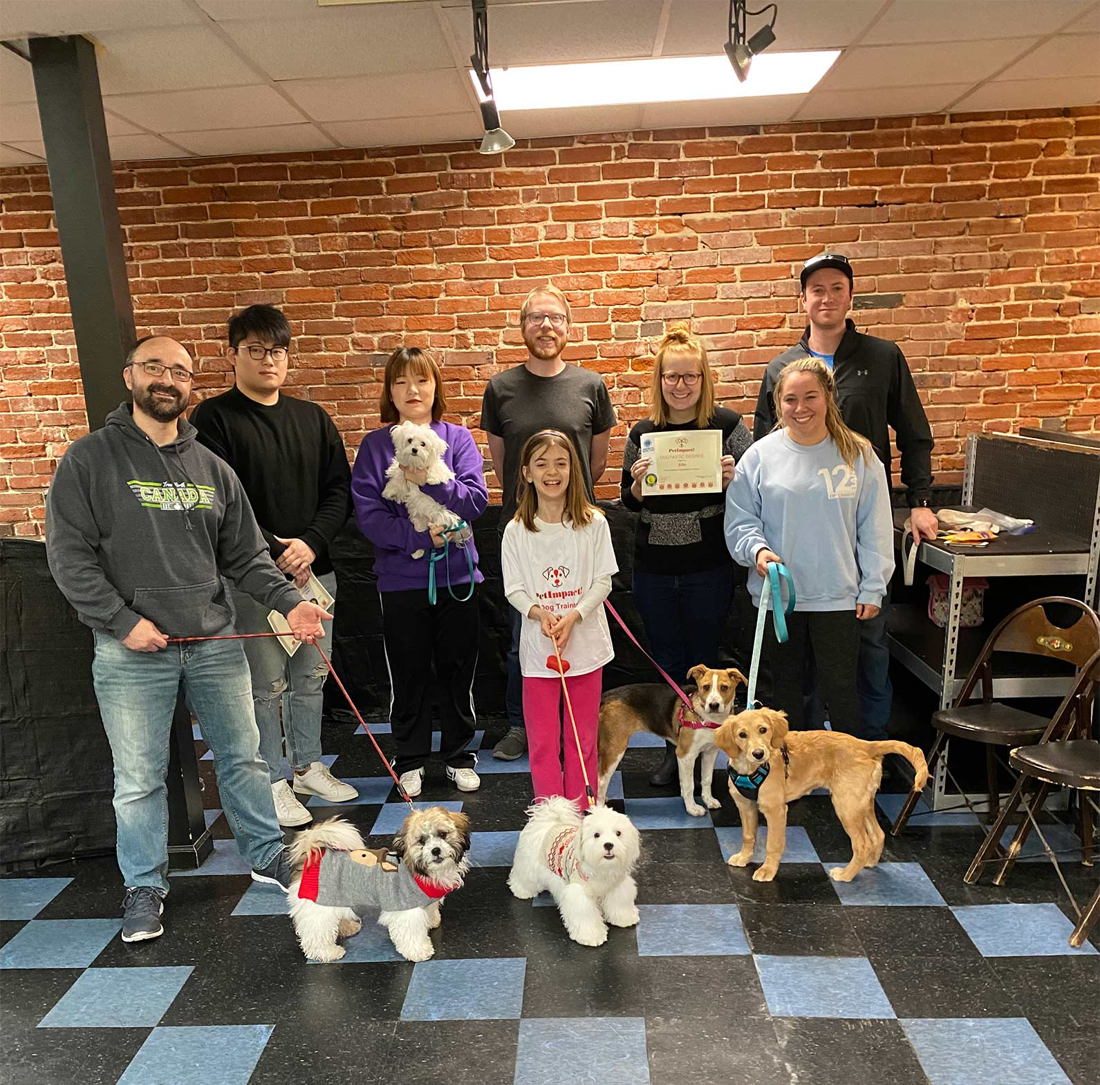 Group of Pet Owners — St. Louis, MO — PetImpact! Dog Training