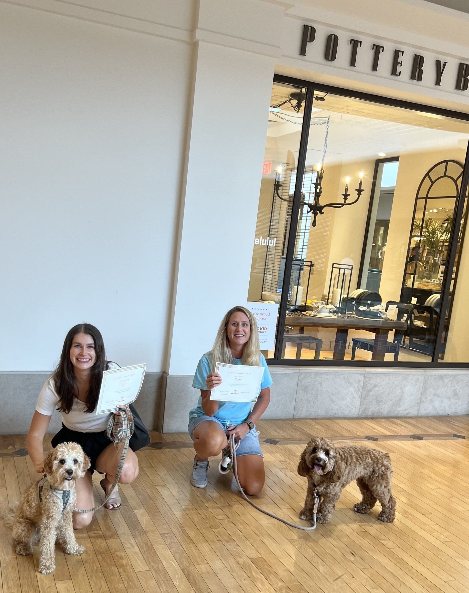 Two Dogs Graduation Certificate -  St Louis County, MI - PetImpact! Dog Training Services