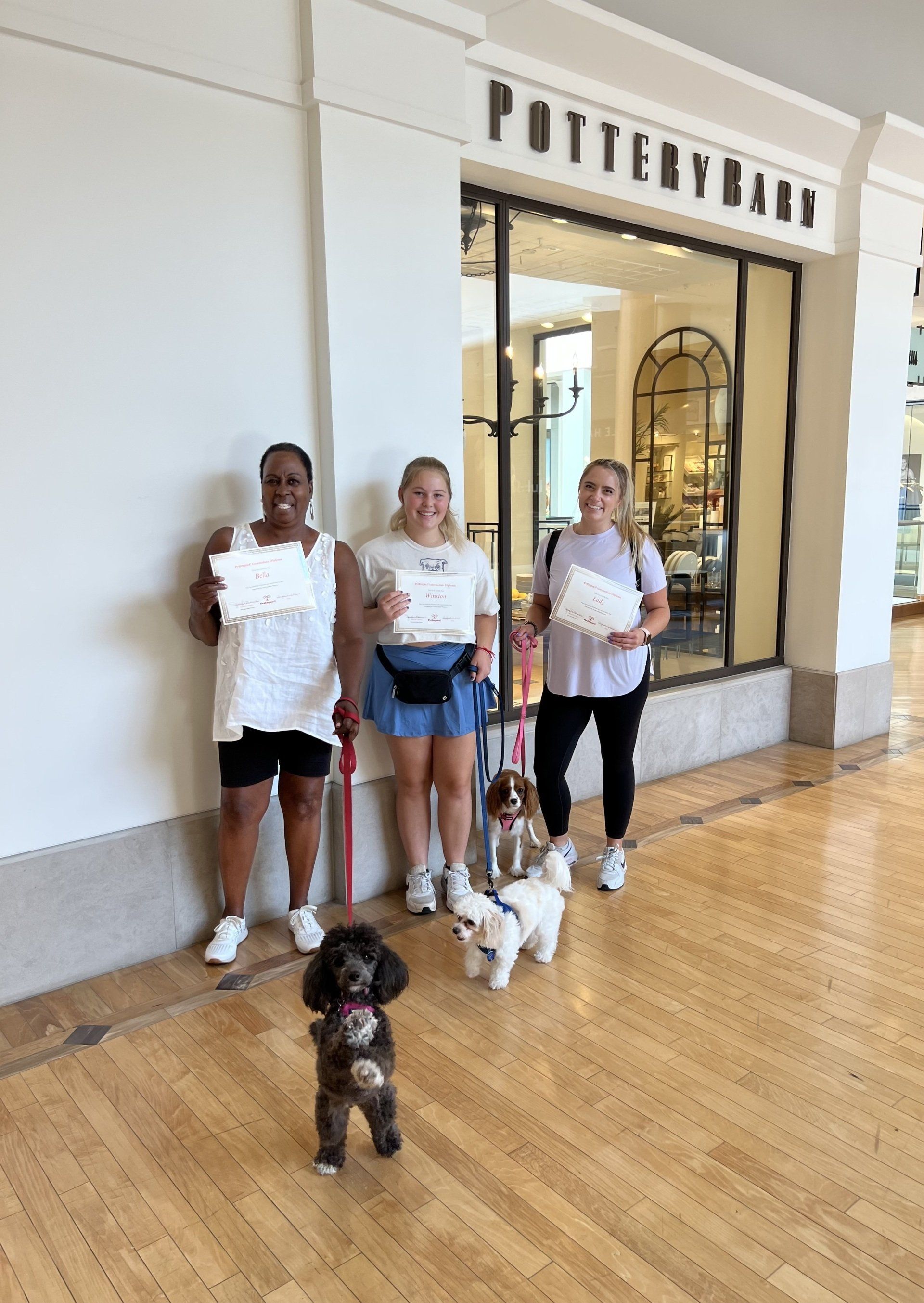 Dogs Graduation Certificates -  St Louis County, MI - PetImpact! Dog Training Services