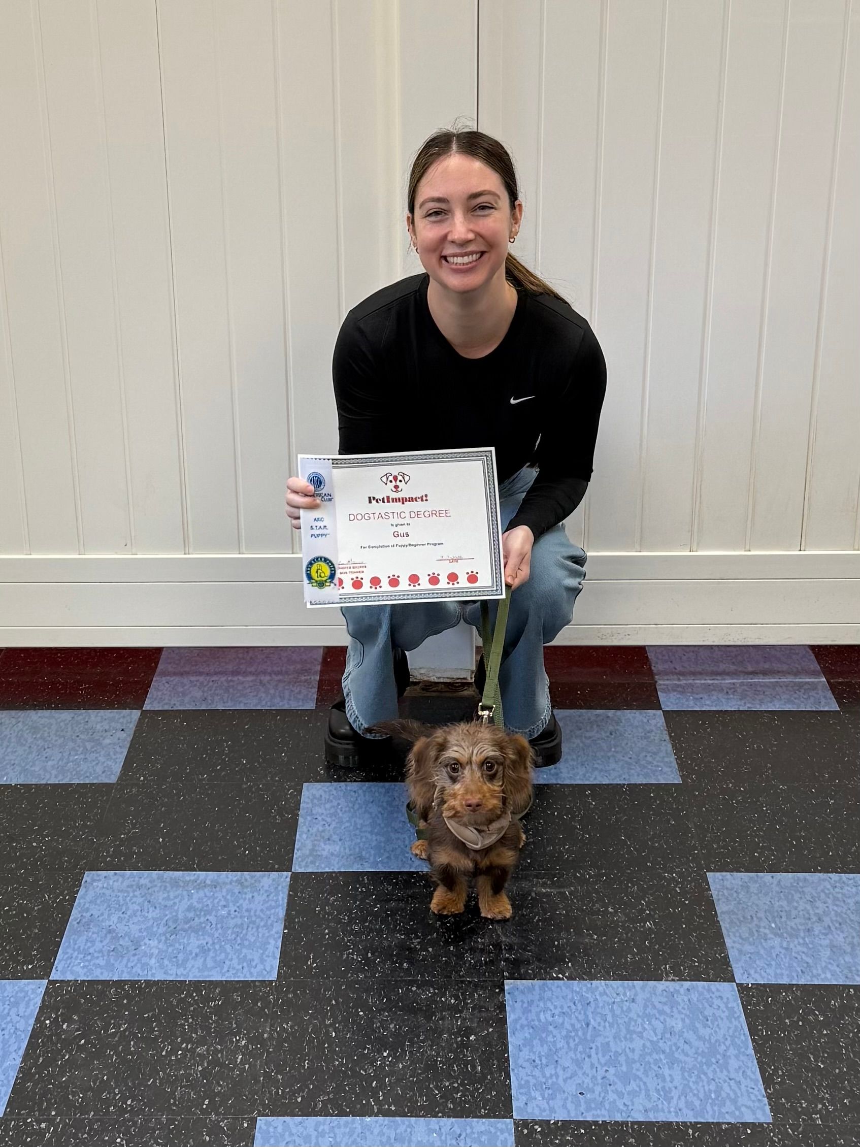 A person kneels indoors holding a dog training certificate with a small dachshund on a leash in front of them.