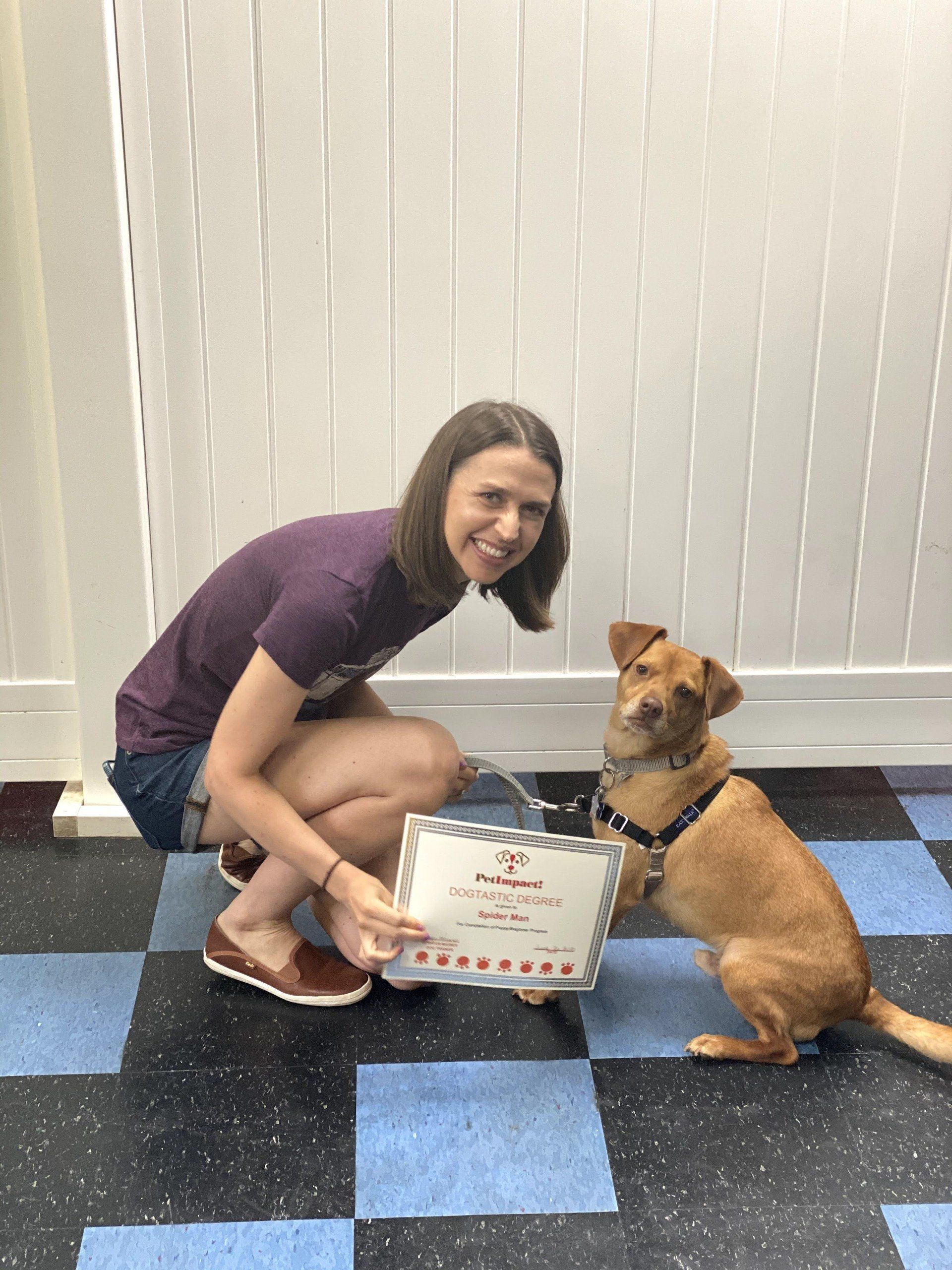 Dog Spider Man With Its Owner Holding Certificate — St. Louis, MO — PetImpact!