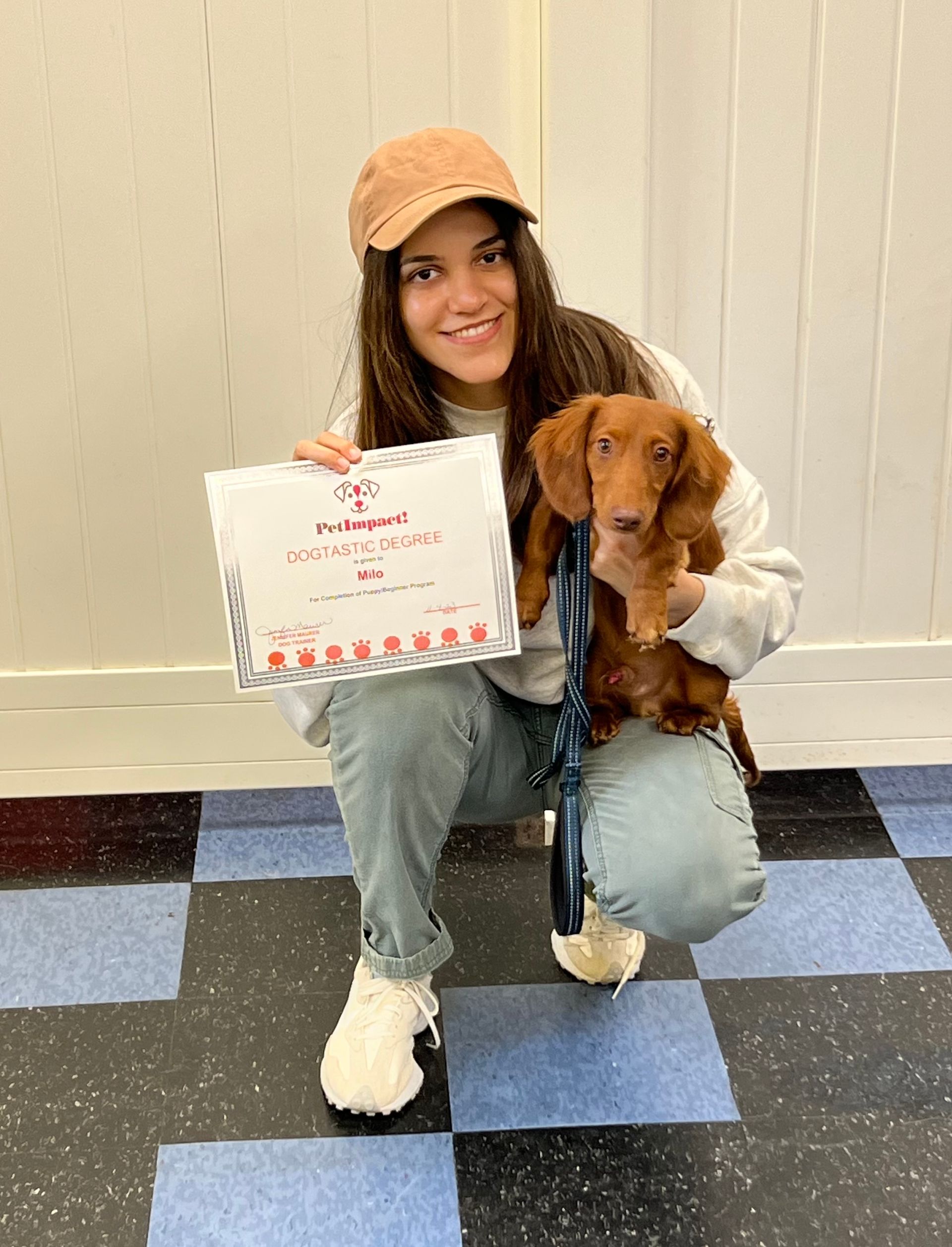 Dog Owner and Brown Dog — St. Louis, Mo — Petimpact!