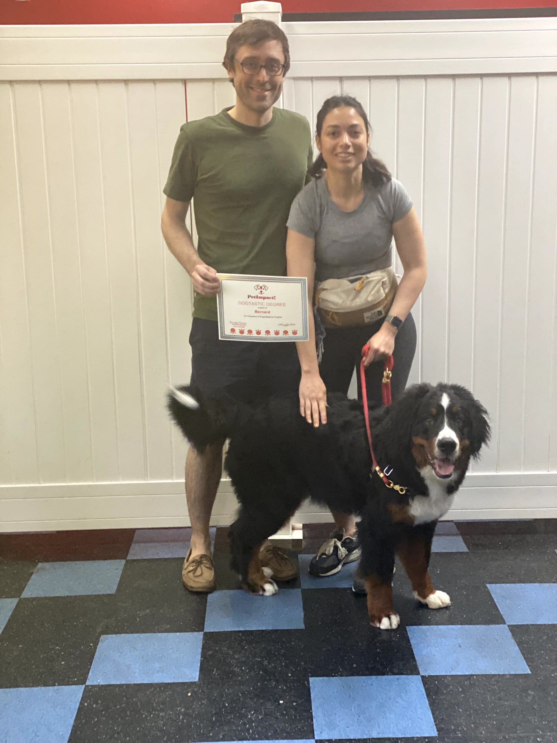 Pet Dog Graduate With Happy Couple — St. Louis, MO — PetImpact!
