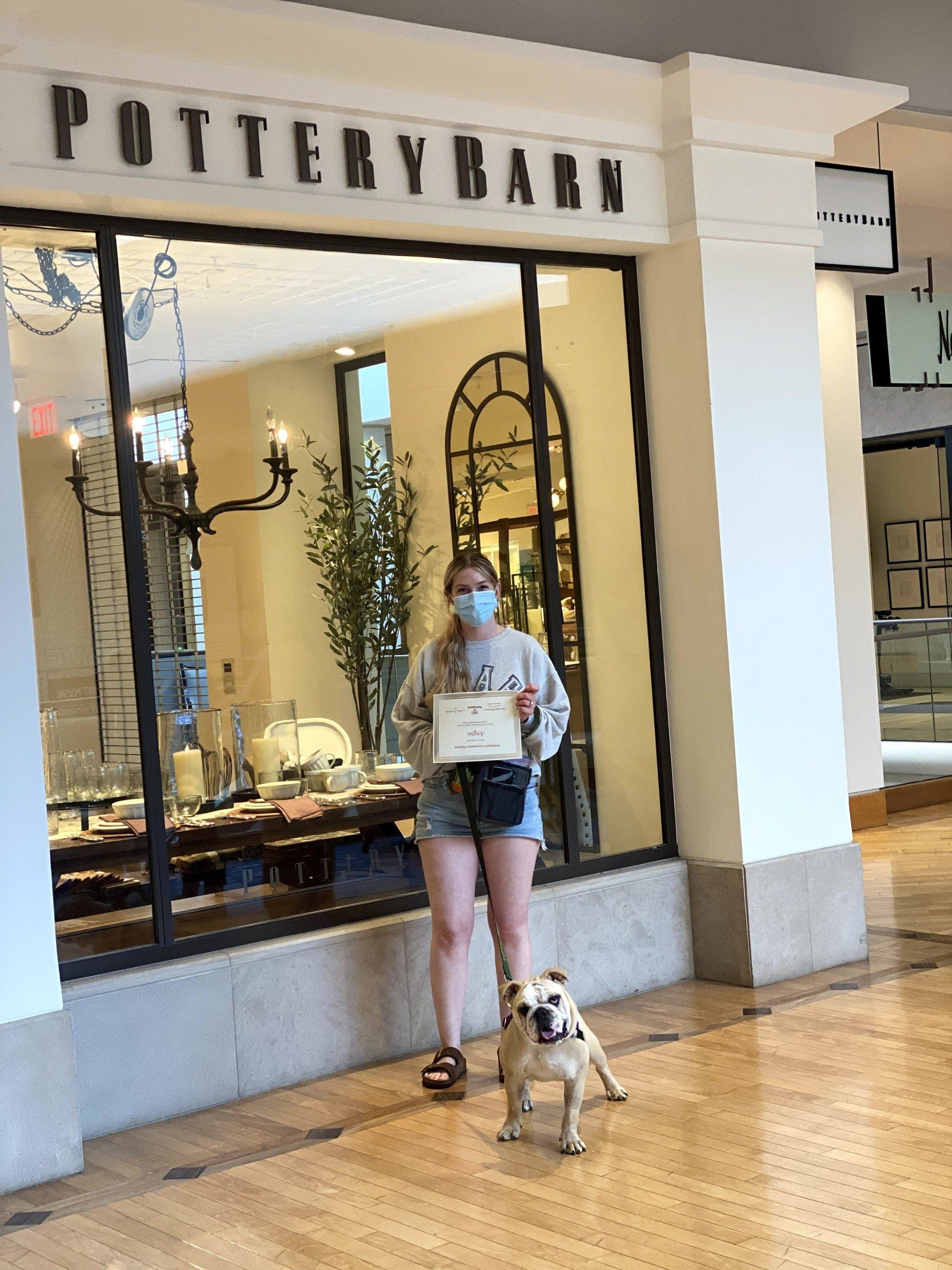 Angus The Dog Graduate — St. Louis, MO — PetImpact!