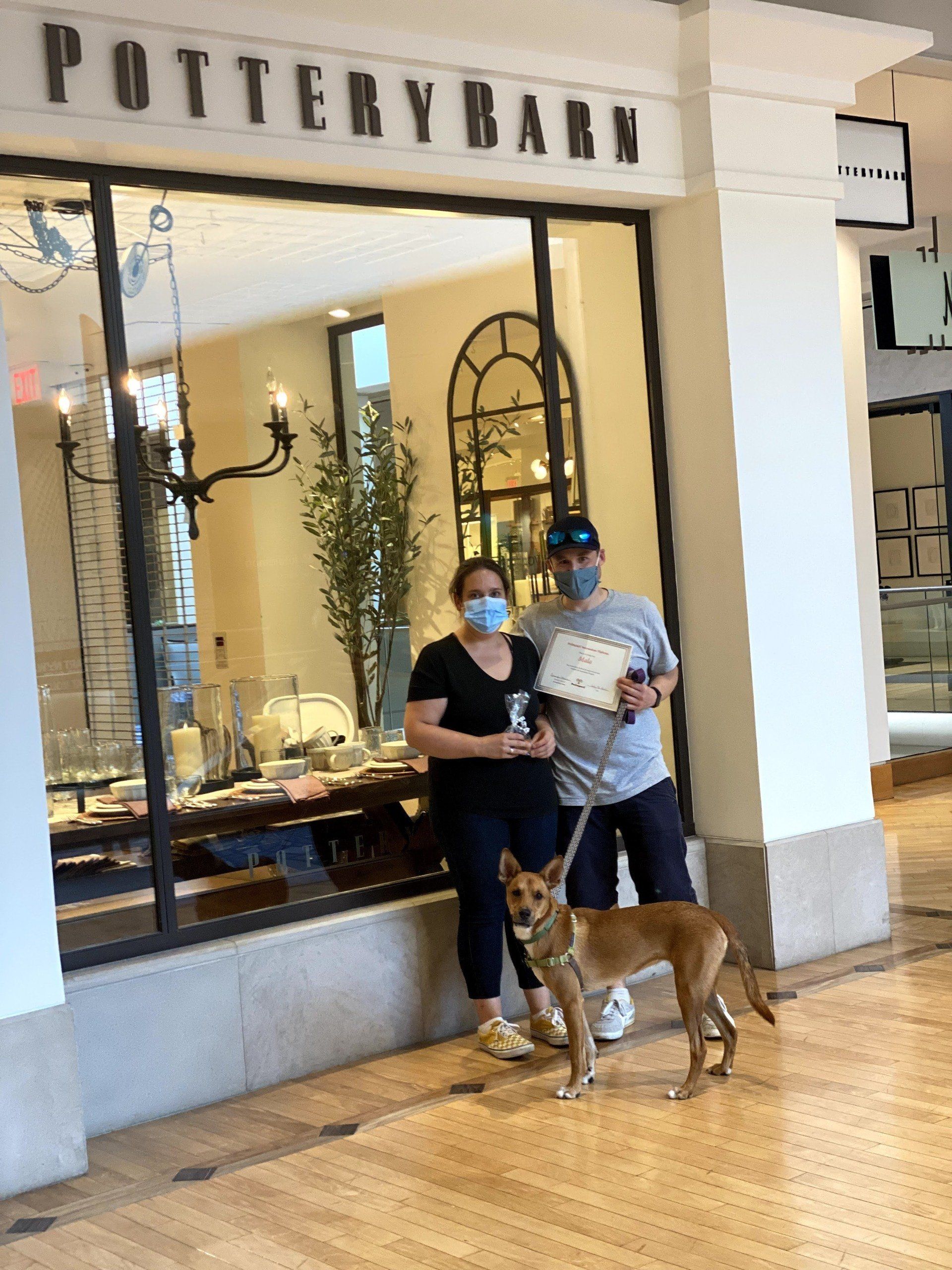 Two people and a dog stand outside a Pottery Barn store. They hold an item and a certificate.