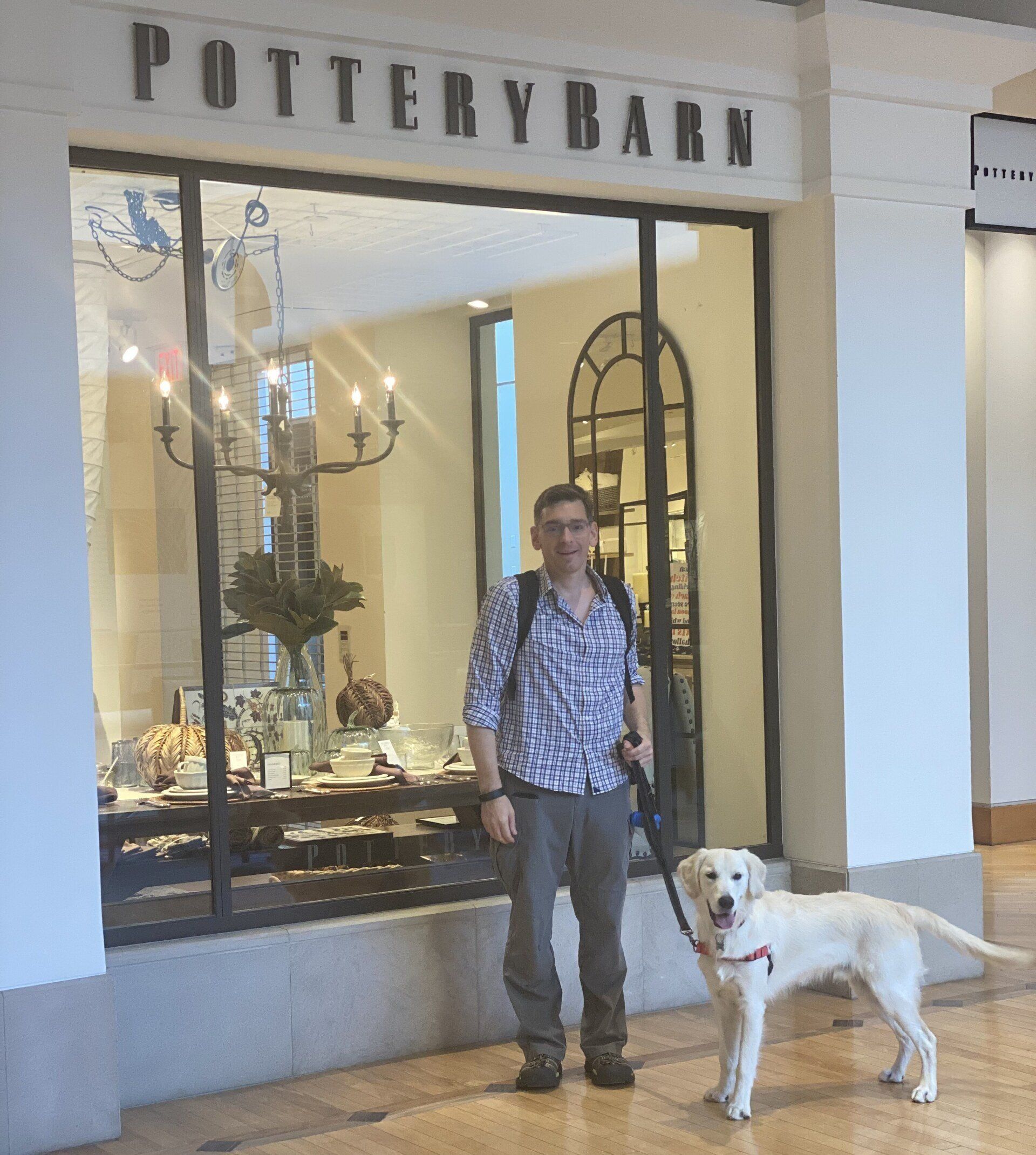 White Dog With Its Owner Holding Leash — St. Louis, MO — PetImpact!