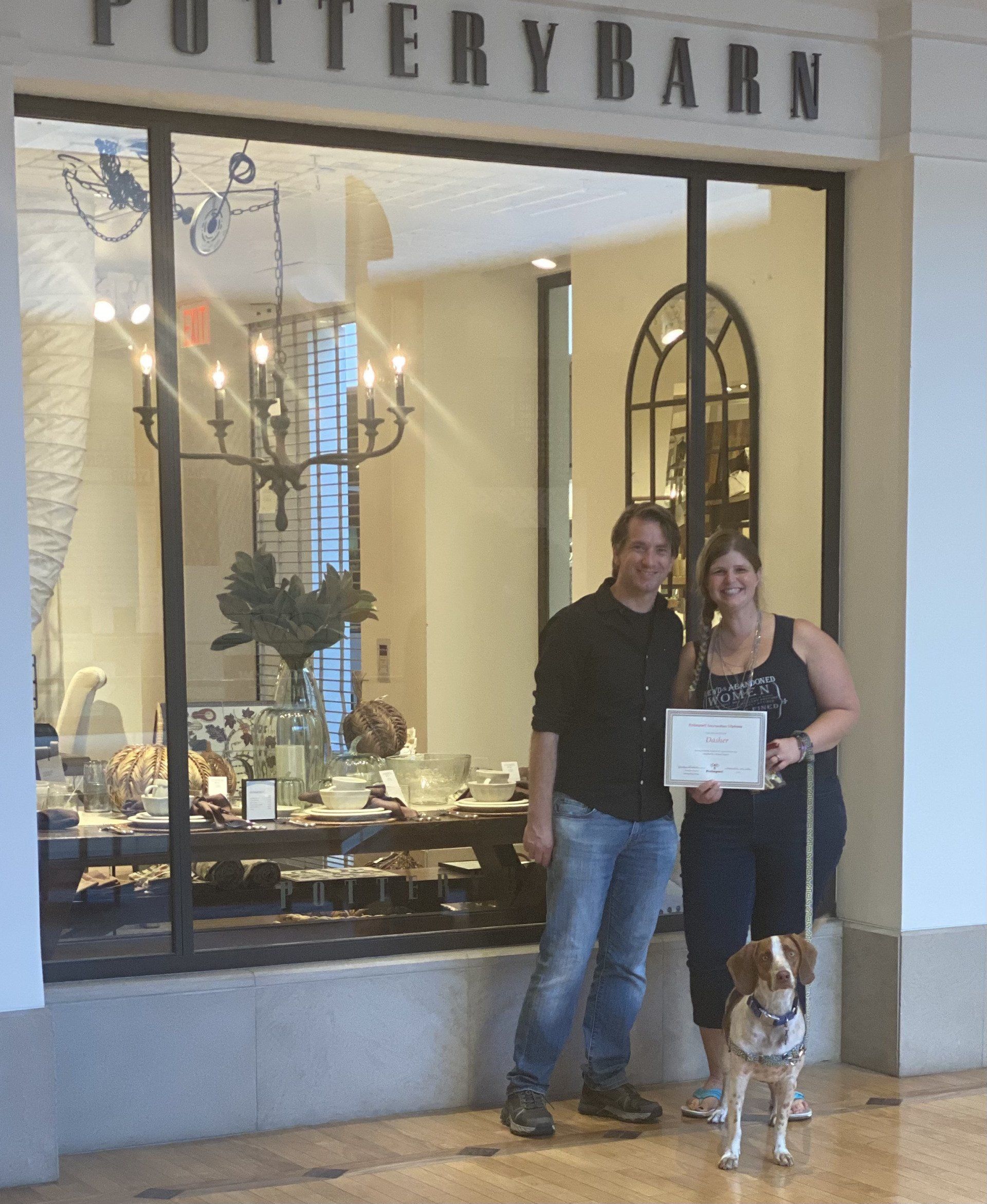 Dog With Its Owner Couple Holding Leash — St. Louis, MO — PetImpact!