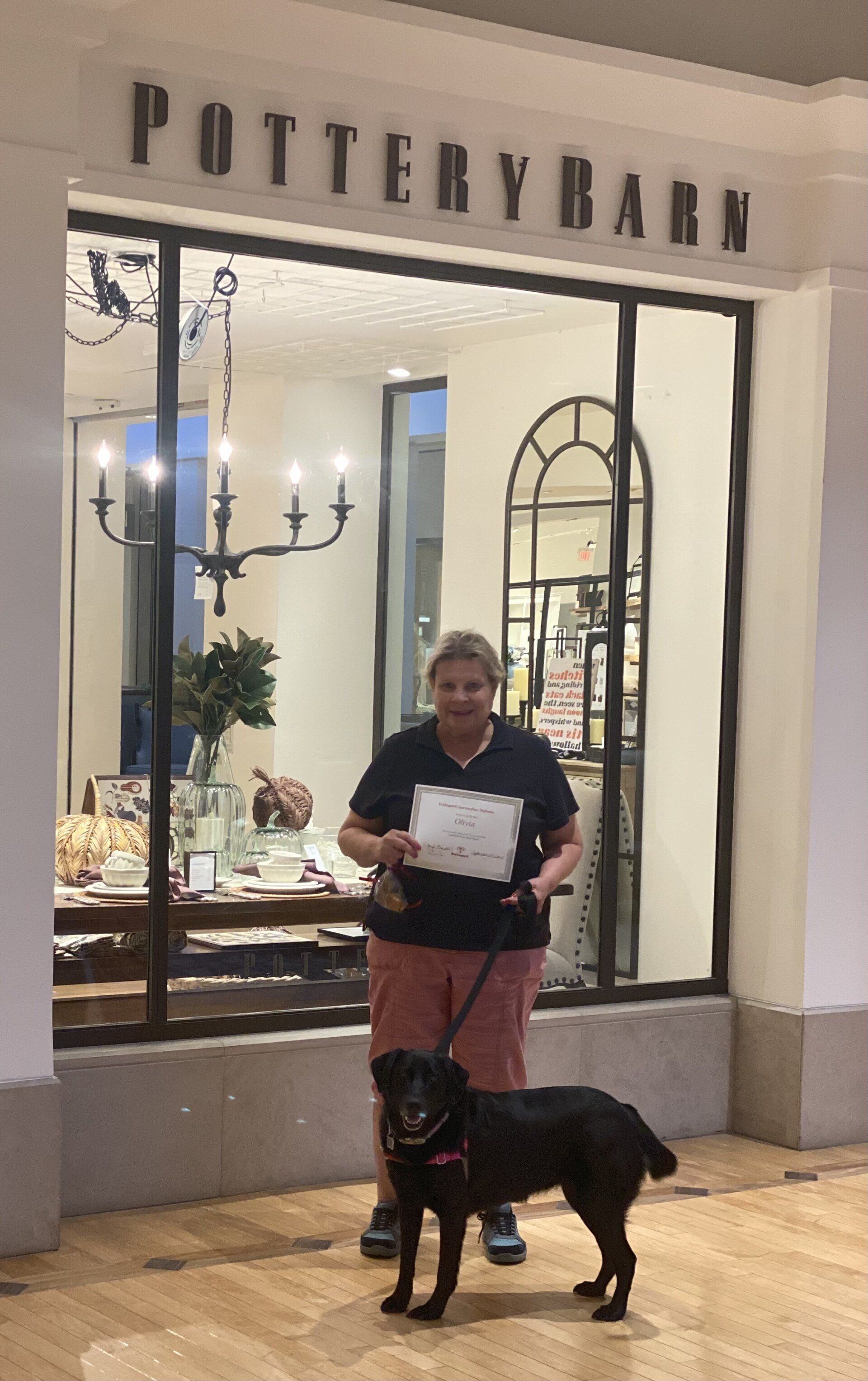 Black Labrador With Its Owner Holding Certificate — St. Louis, MO — PetImpact!