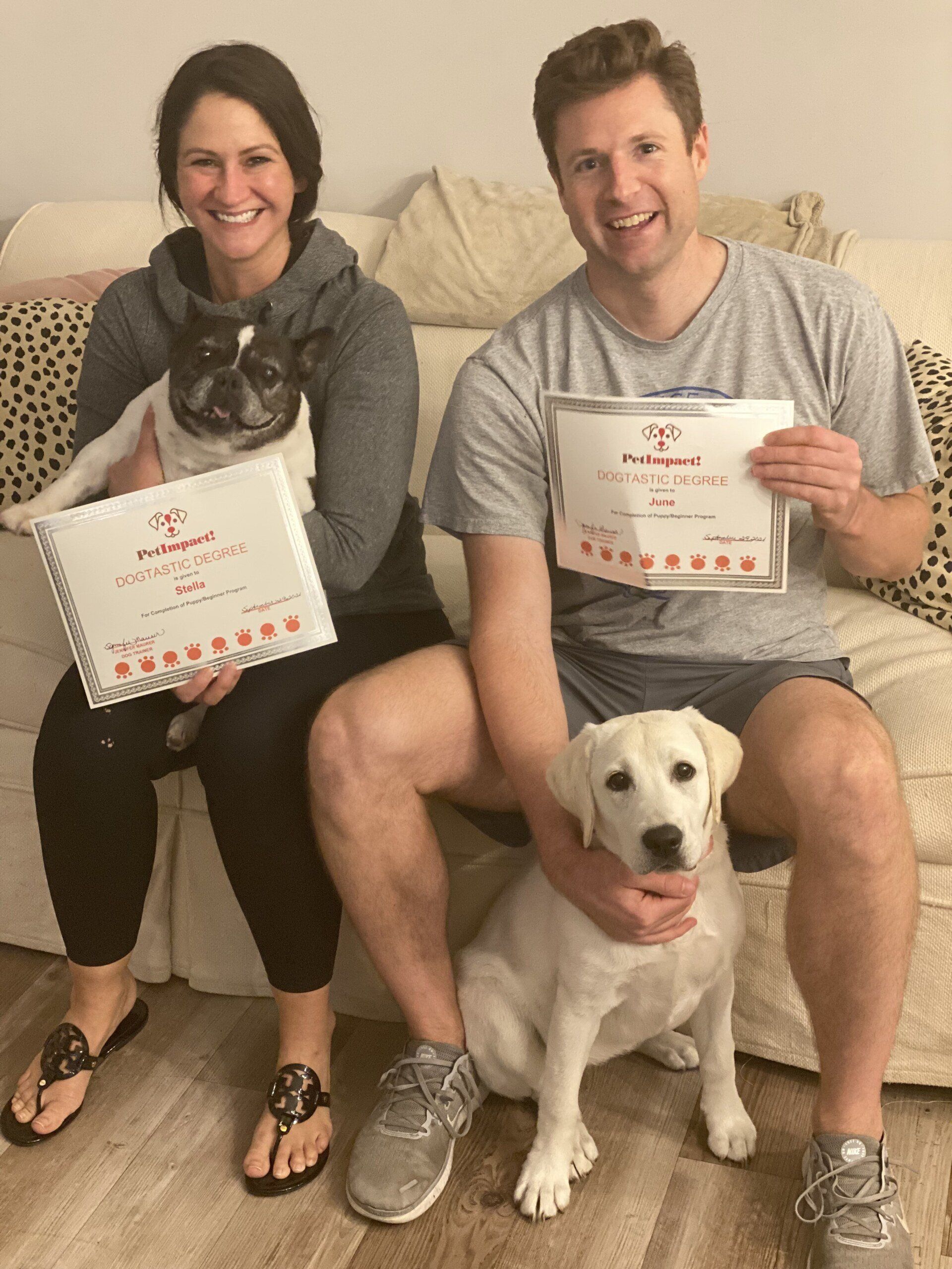 Dog Stella & June With Their Owner Couple — St. Louis, MO — PetImpact!