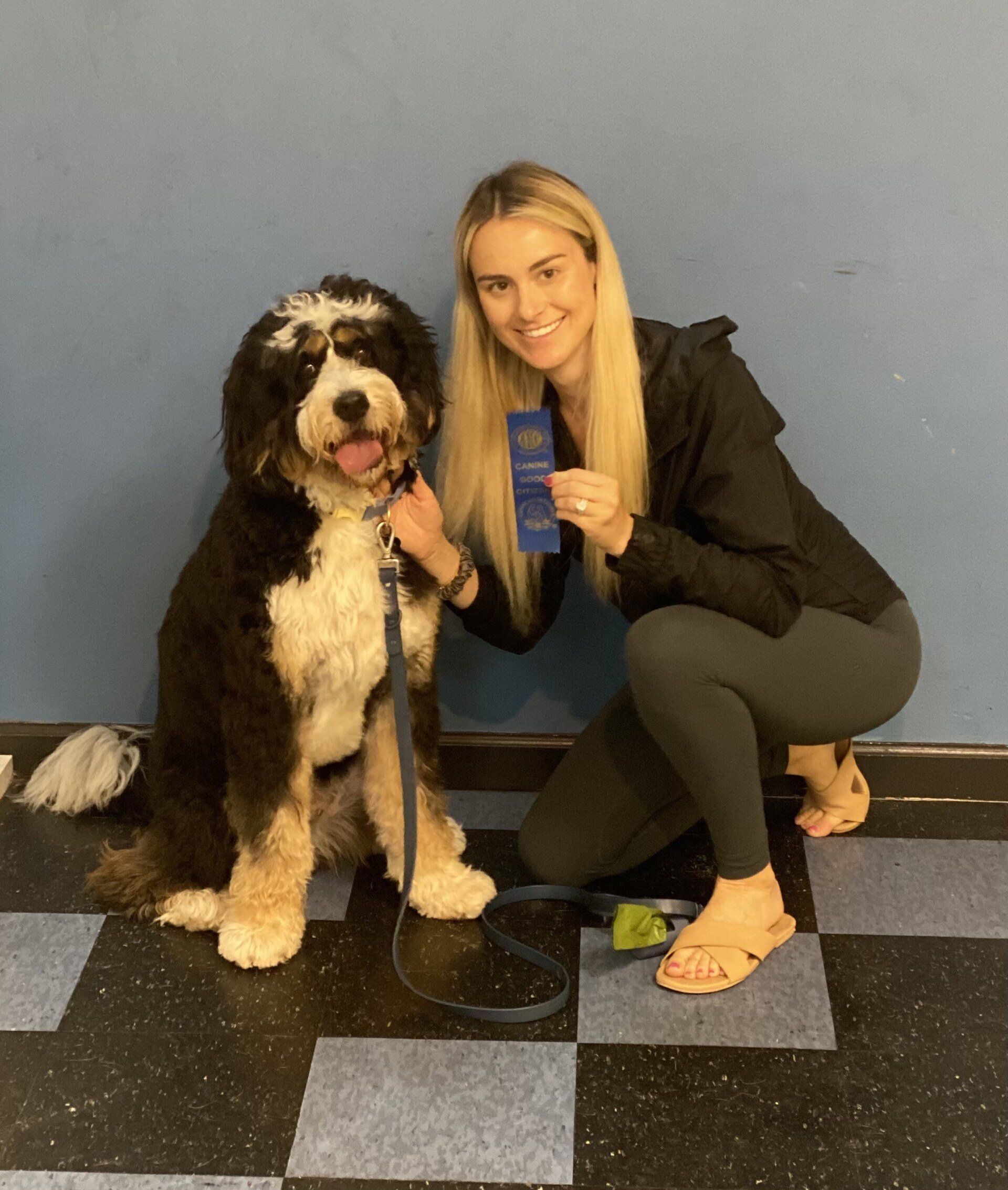 Dog Owner and Big Dog — St. Louis, MO — PetImpact!