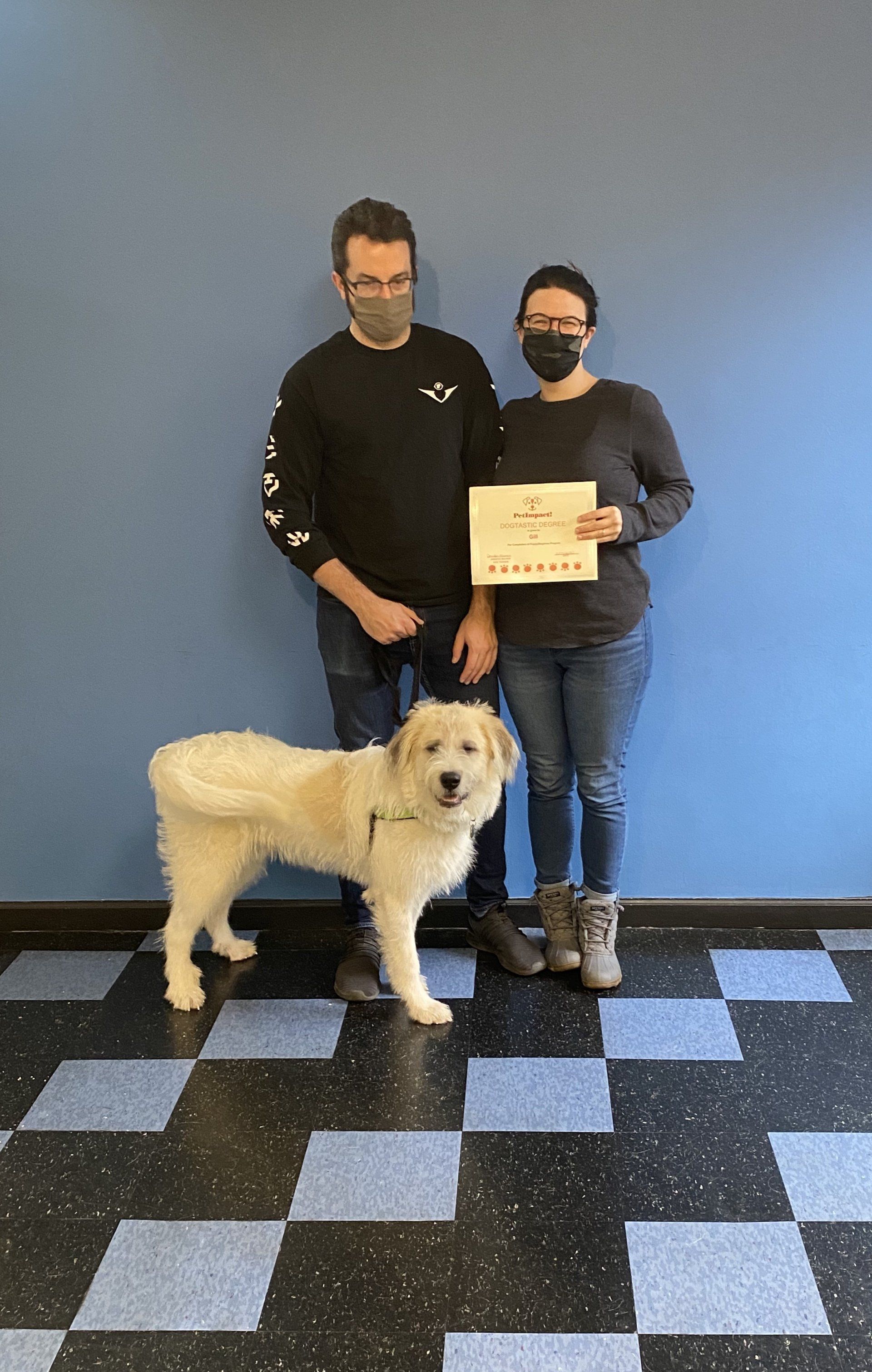 A dog, standing next to a couple, smiles. They hold a certificate in front of a blue wall.