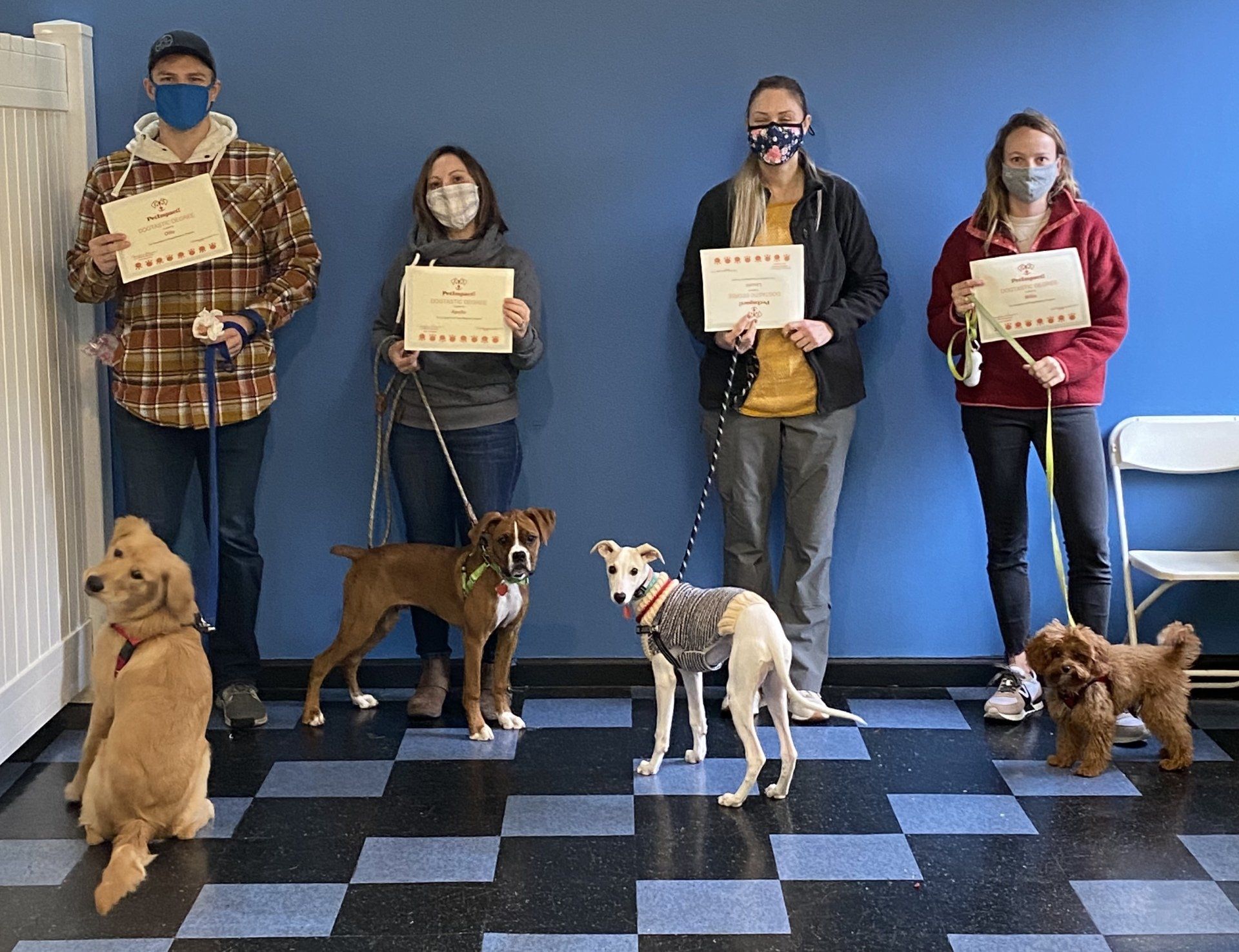People with dogs pose indoors, holding certificates. Dogs wear leashes. Blue wall background.