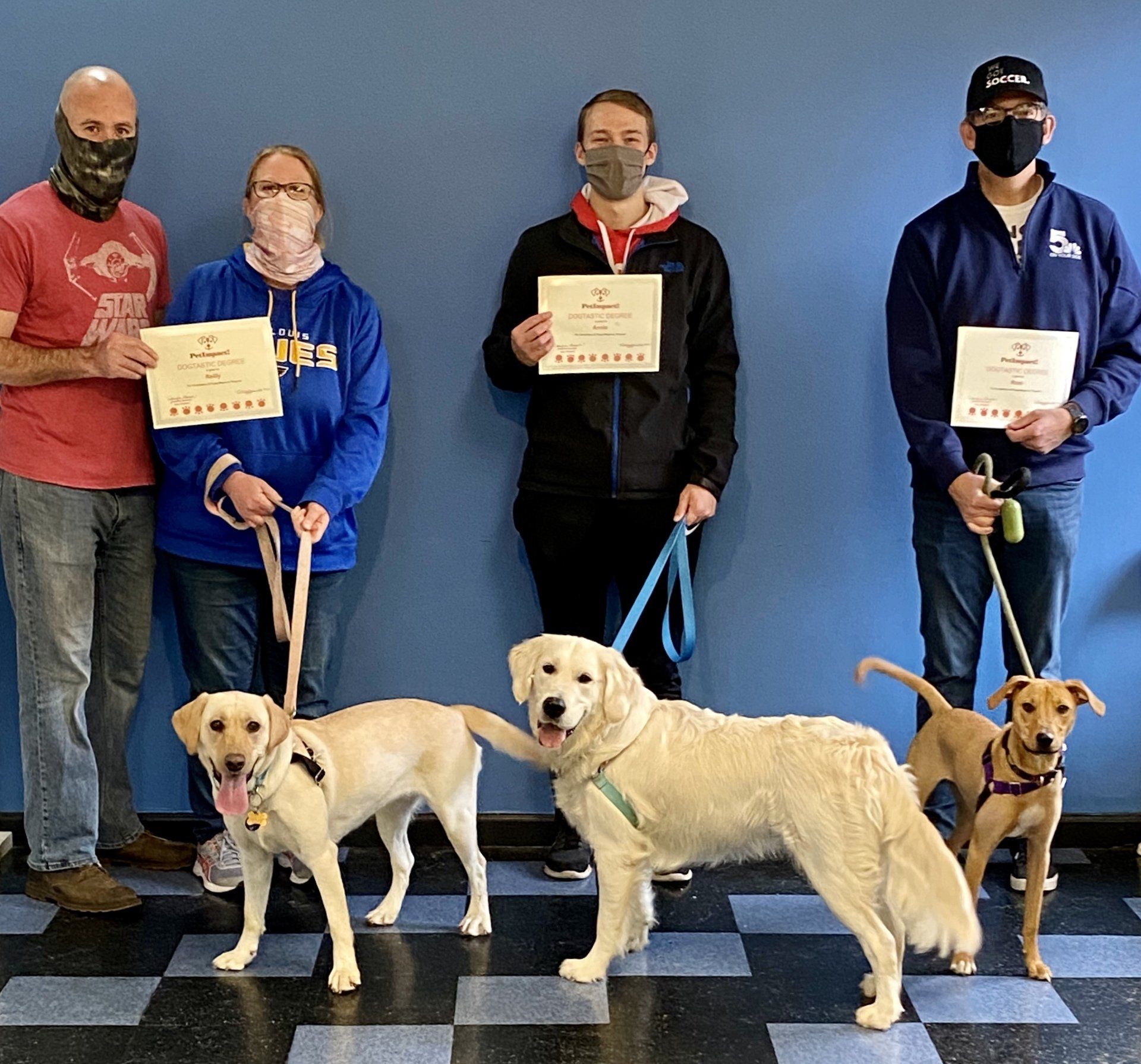 People with dogs holding certificates in front of a blue wall; dogs are on leashes.