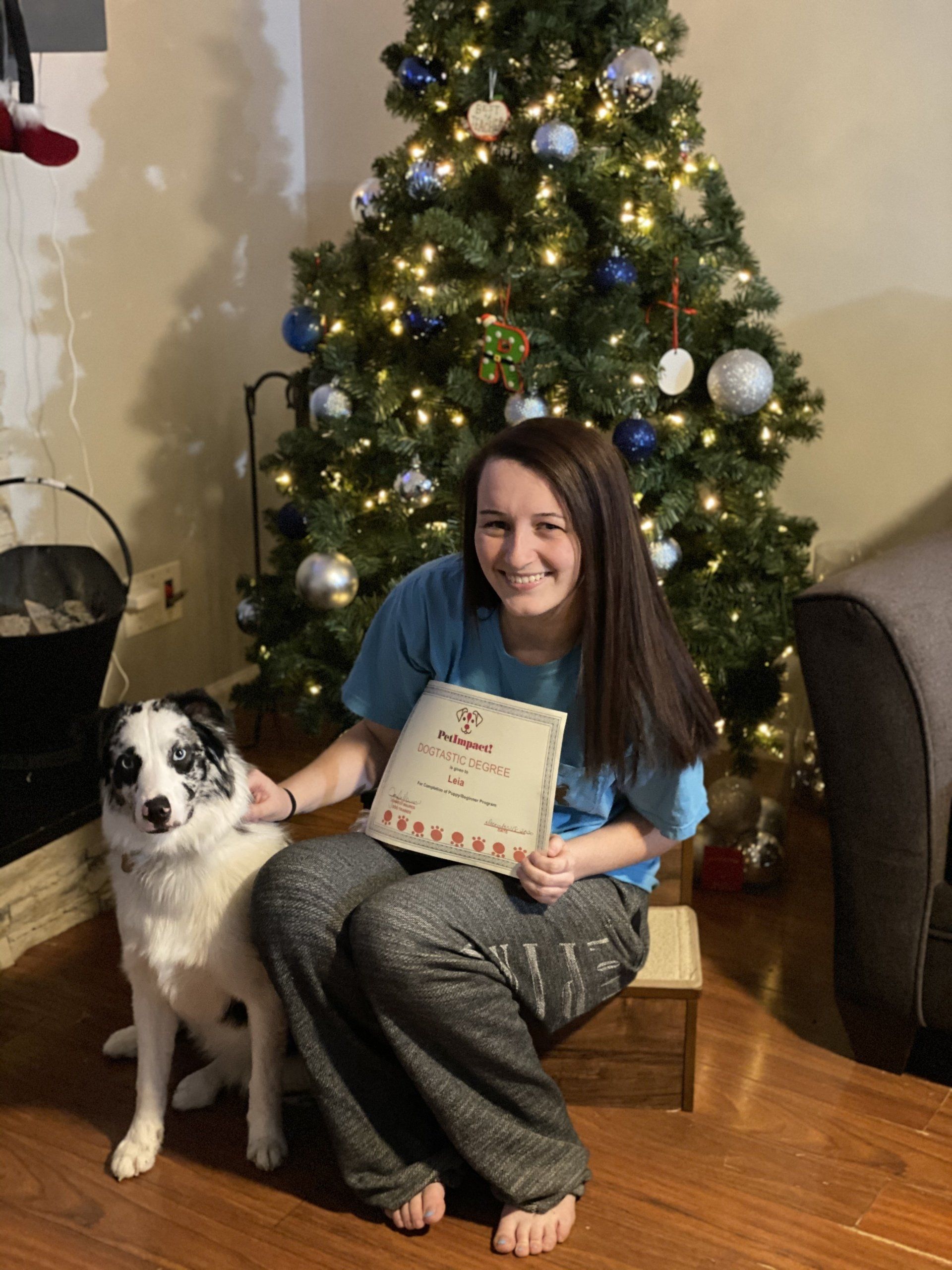 Woman and dog with certificate, sitting by Christmas tree.