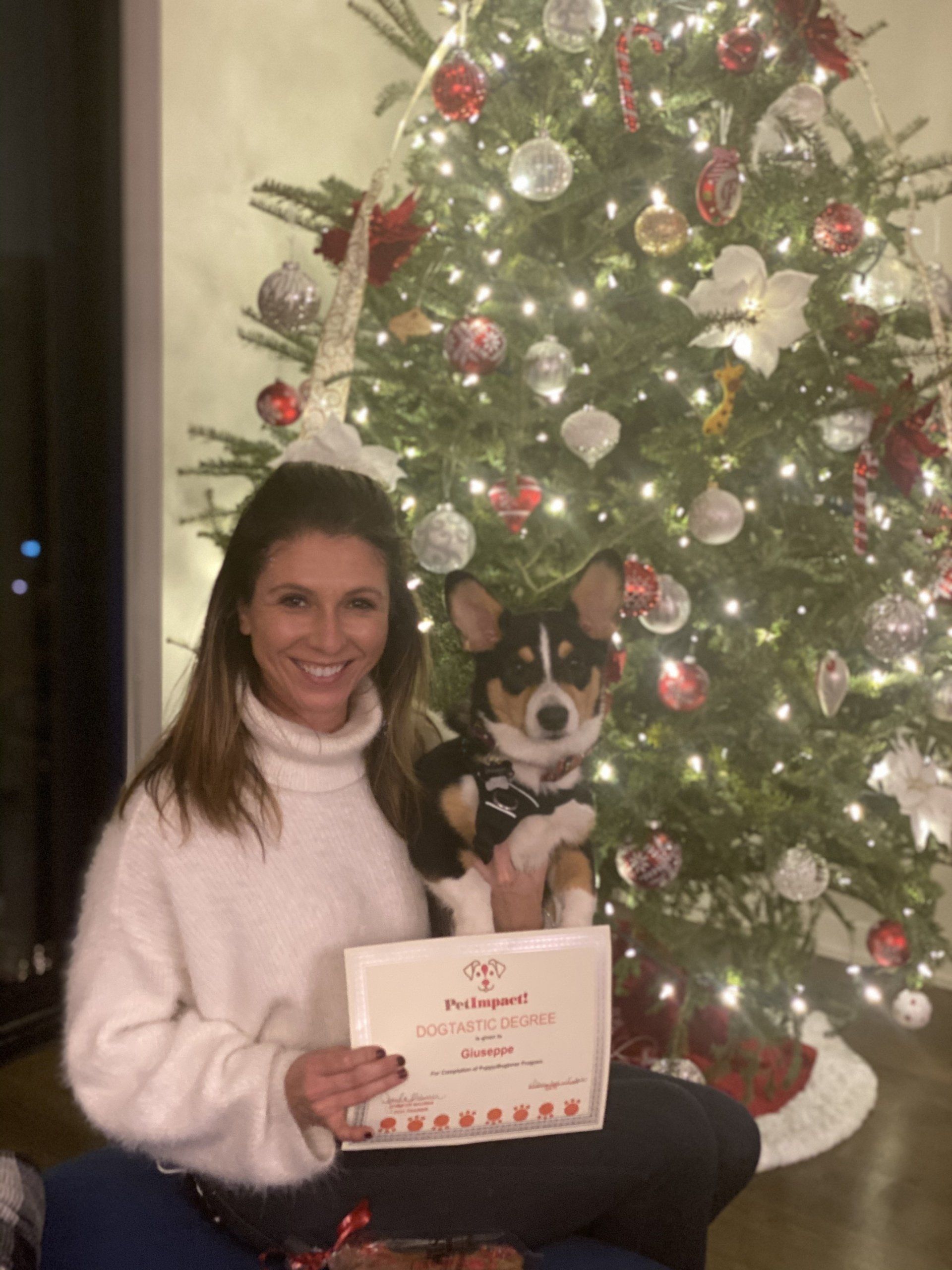 Woman and corgi puppy hold a certificate in front of a decorated Christmas tree.