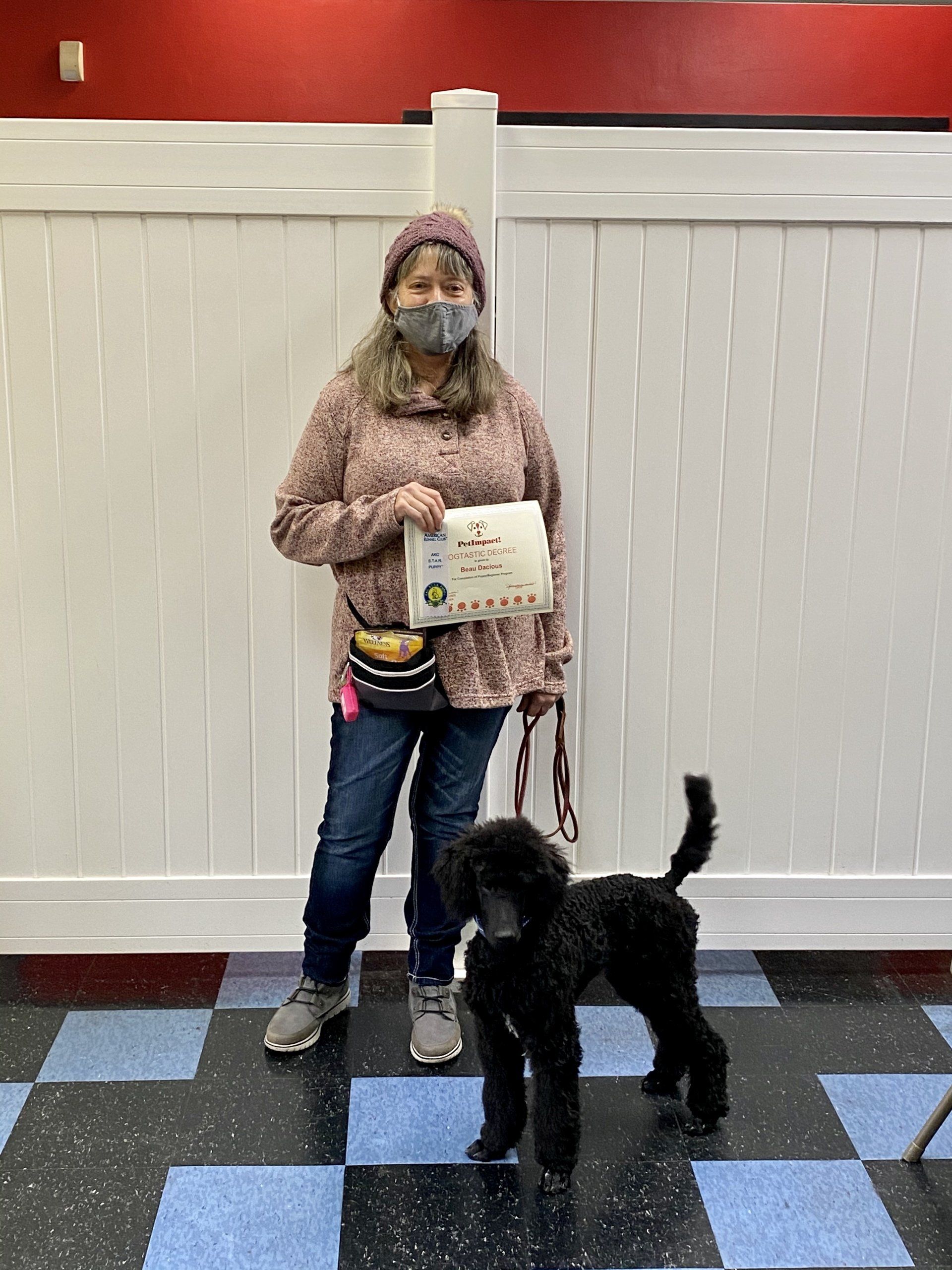 Woman in a hat and mask holding a certificate with a black poodle in front of a white fence.