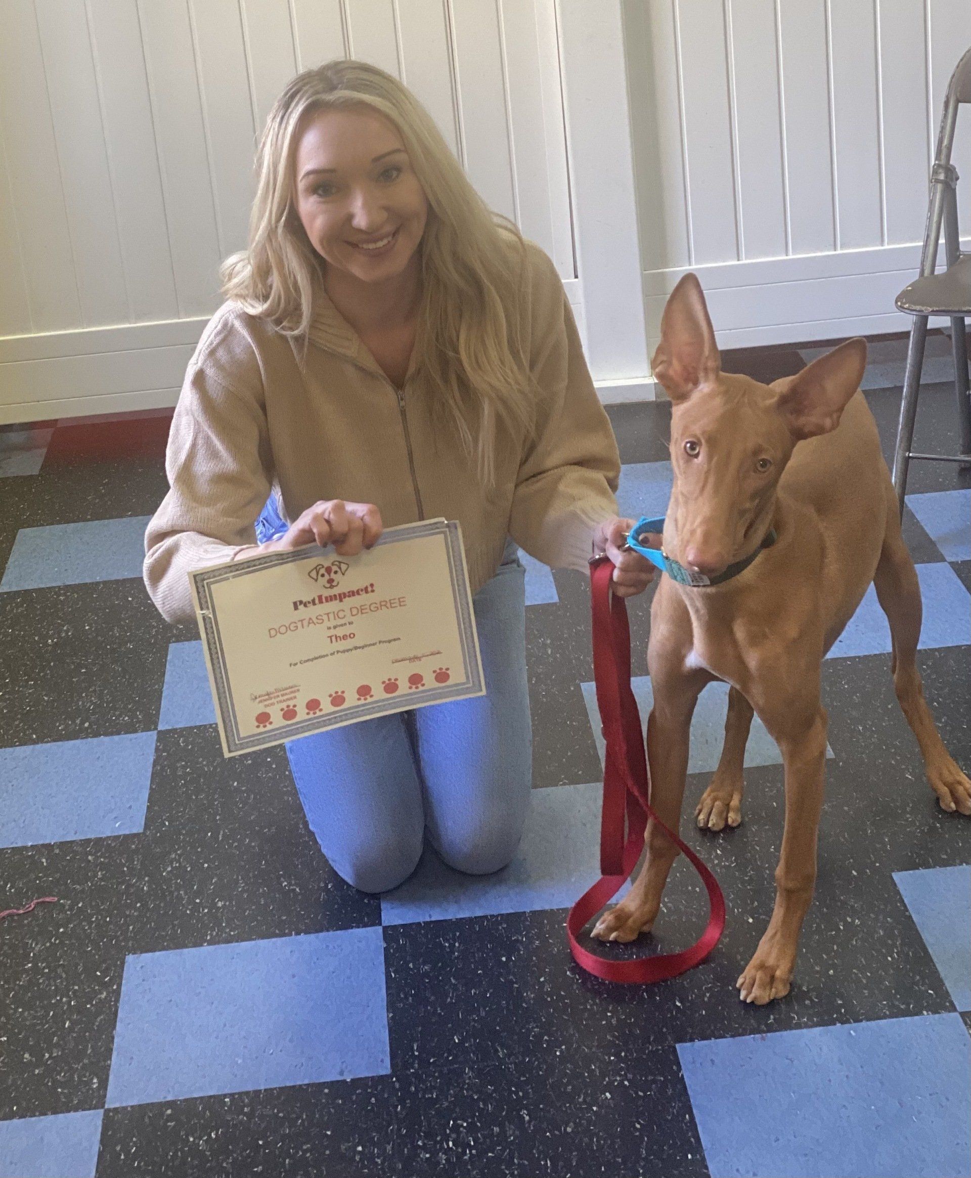 Woman kneels with a dog, holding a certificate. The dog is tan with large ears and is on a leash.