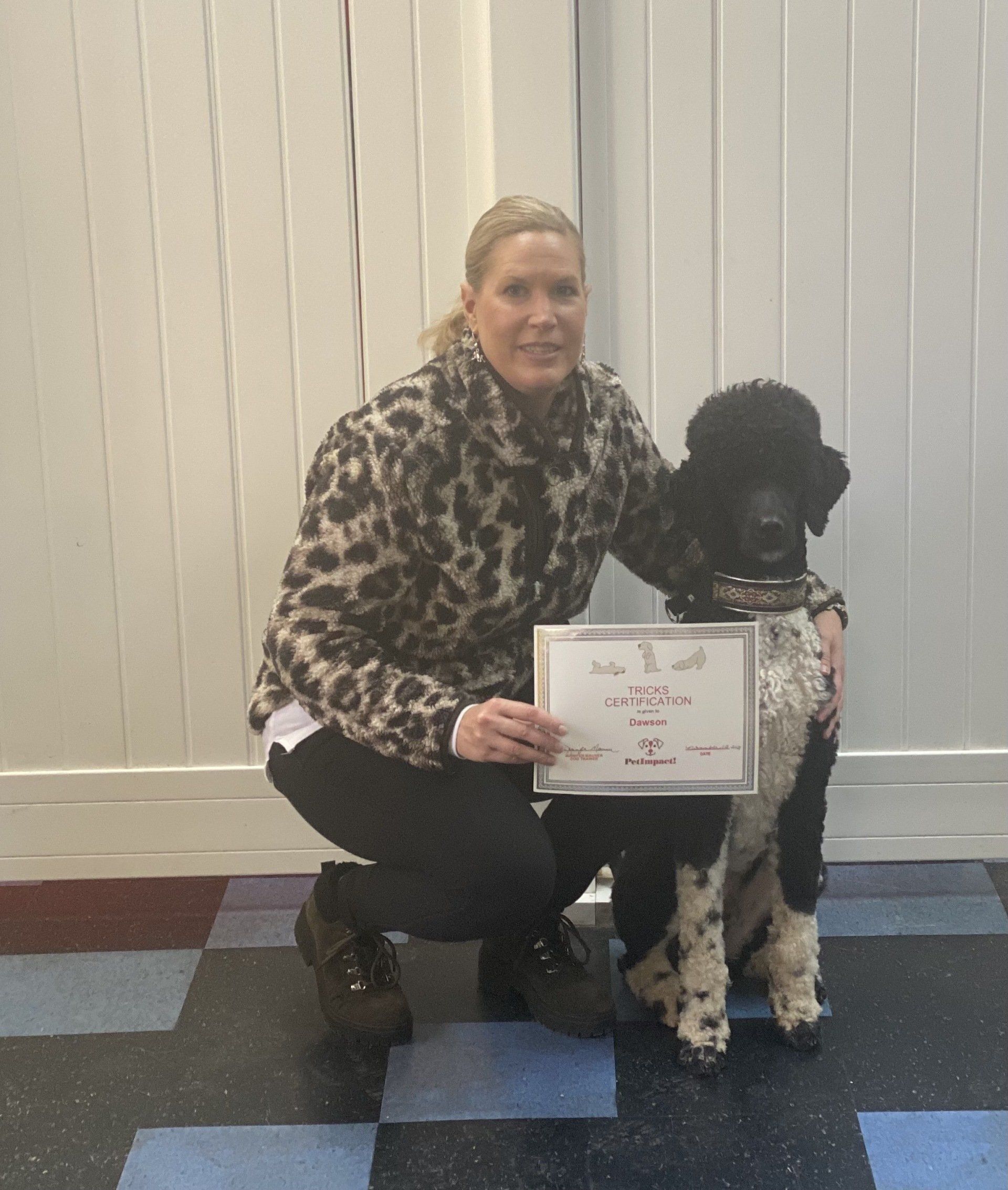 Woman in leopard print jacket with parti-color poodle, holding certificate.