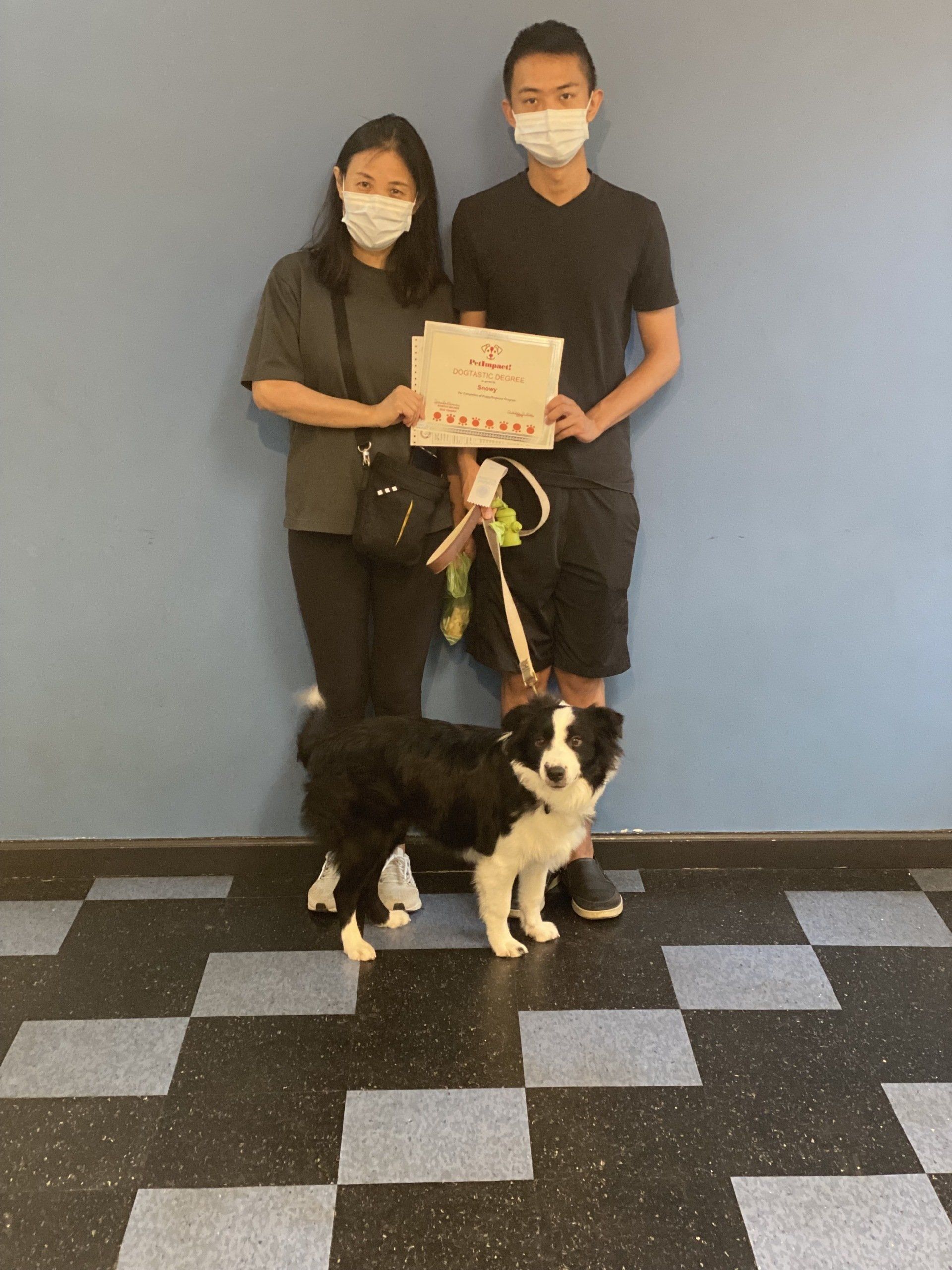 A couple and a dog stand in front of a blue wall. The couple holds a gift. The dog is black, white, and brown.