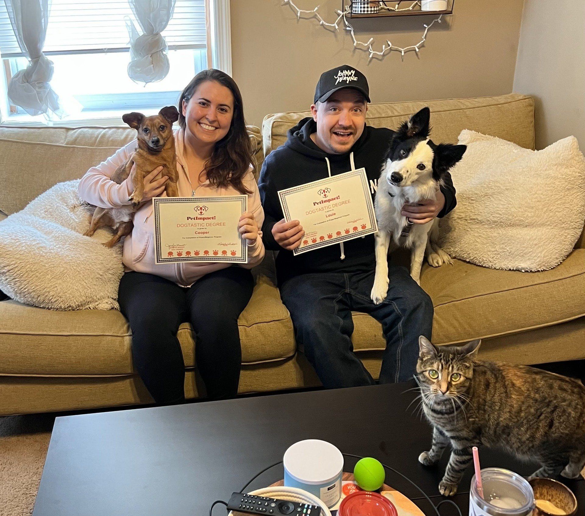 Couple on couch holding dogs and certificates; cat sits on table.