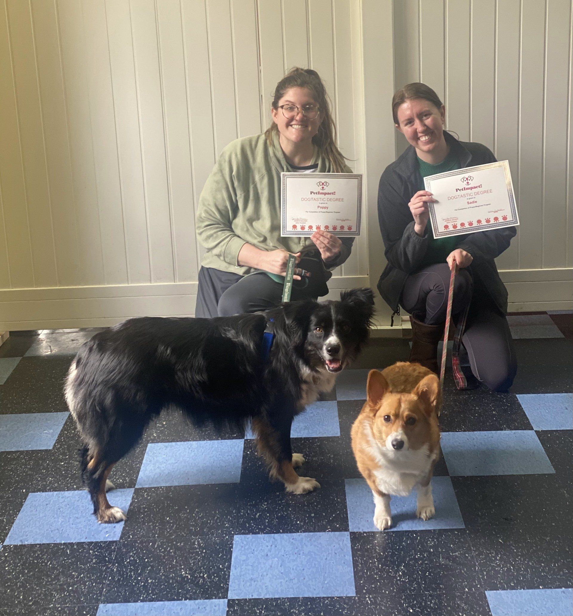Two people and two dogs pose with certificates indoors. Black and white dog on left, brown and white dog on right.